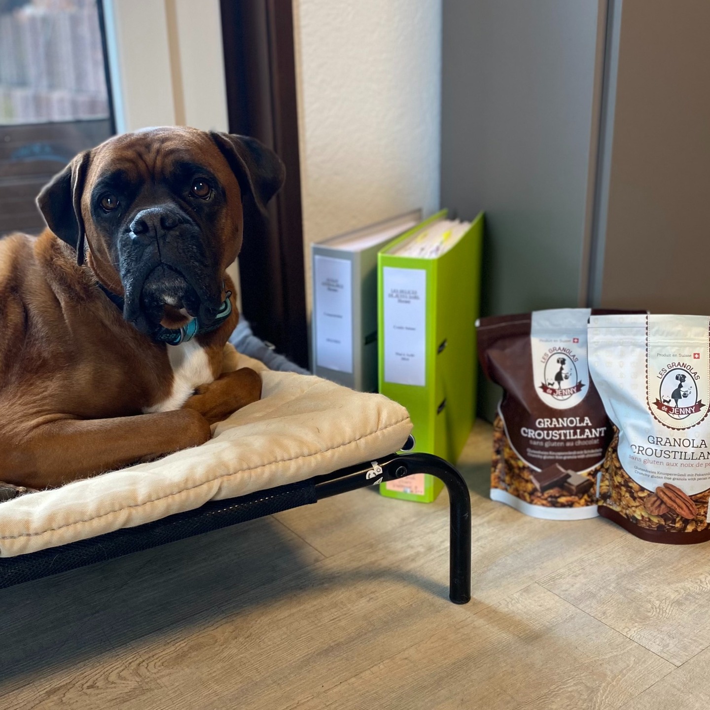 🙏 REMERCIEMENTS À NOTRE NOUVELLE FIDUCIAIRE – EGC GESTION & CONSEILS, Enza Hertig-Natale, LE MONT-SUR-LAUSANNE
Gérer une entreprise dans l’alimentaire tout en pilotant une association reconnue d’utilité publique demande une rigueur comptable irréprochable et une transparence exemplaire. Depuis la création de Les Granolas de Jenny et de l’Association Auxan, nous avons eu la chance d’être épaulés par des comptables engagés, partageant notre amour pour les animaux.
2013 - 2022 : UN ENGAGEMENT FIDÈLE ET PRÉCIEUX
Pendant près de 10 ans, Philippe nous a accompagnés avec professionnalisme et générosité dans tous les aspects comptables : gestion financière, facturation, attestations de dons, rédaction des procès-verbaux… Grâce à lui, nous avons pu naviguer dans les complexités administratives.
2022 - 2025 : UNE NOUVELLE COLLABORATION PRÉCIEUSE
Le hasard a mis sur notre chemin une fiduciaire locale de confiance : EGC Gestion & Conseils. Un grand merci à Enza Hertig-Natale et son équipe pour leur expertise, leur bienveillance et leur accompagnement précieux.
Et comment ne pas mentionner LUCKY, leur adorable compagnon à quatre pattes🐶, qui veille sur nos comptes avec autant d’attention qu’il nous apporte d’affection !
3 DÉCLARATIONS D’IMPÔTS À GÉRER CHAQUE ANNÉE !
Au-delà de nos obligations fiscales personnelles, nous tenons deux comptabilités distinctes :
📌 Une Sàrl (Les Délices de Jenny)
📌 Une association à but non lucratif (Association Auxan)
Depuis plus de 10 ans, nous assumons cette tâche bénévolement, un engagement exigeant mais essentiel pour garantir la transparence de nos actions et la pérennité de notre mission.
❤️ CHAQUE SACHET DE GRANOLA VENDU NOUS PERMET DE SAUVER DES VIES 🐾 AU TRAVERS DE L’ASSOCIATION AUXAN!
Pour nous soutenir:
1- Vous pouvez acheter nos granolas sur notre boutique en ligne:
https://fr.lesgranolasdejenny.com/shop
2- Faire un don à notre association:
https://www.auxan.org/fr/donate