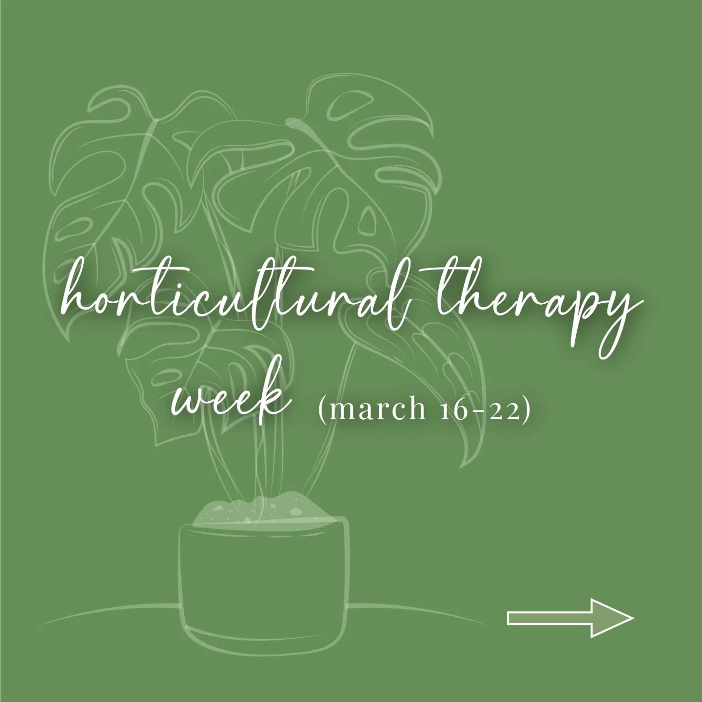 It's Horticultural Therapy Week 2025! Here's some of what we're doing to celebrate ๐ฑ๐
.
.
.
.
#chta #horticulturaltherapy #horticulturetherapy #htweek #htweek2025 #ahta #planttherapy #plantcareisselfcare #plantsmakepeoplehappy