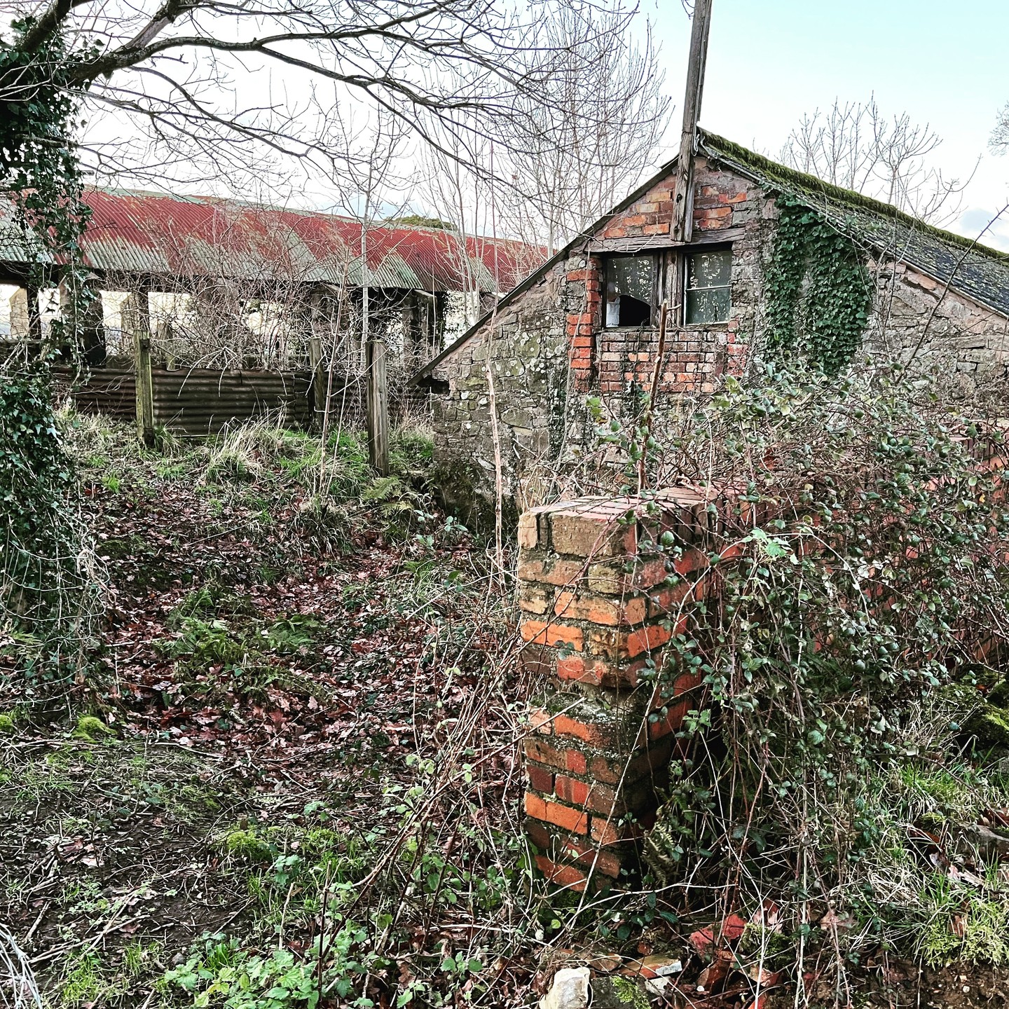 Agricultural barns and out building in Herefordshire set to be refurbished…. The two existing barns will be converted to a house (which features a slide from the mezzanine into the dining room!)
#barnconversion #ruralliving #architecture