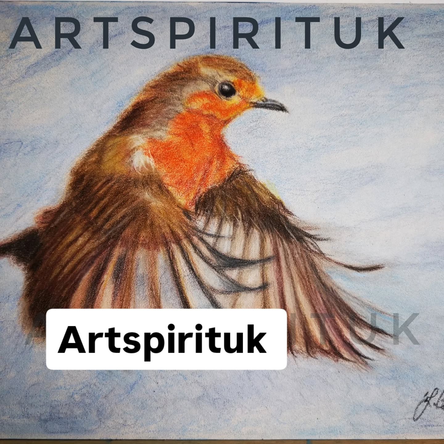 Photo credit by Lesley Martin. #colourpencil #artist #robin #gallery #art beautiful Robin created with colour pencils on Pastelmat board. ❤️❤️