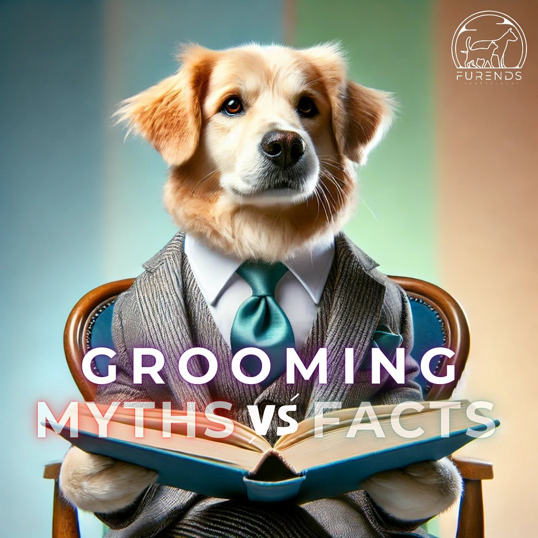 Think shaving keeps your pet cool?
Think again! 🚫
Swipe to bust this grooming myth!
#PetGroomingFacts #grooming #furends #furendspetstudio #petcafe #petcafemumbai