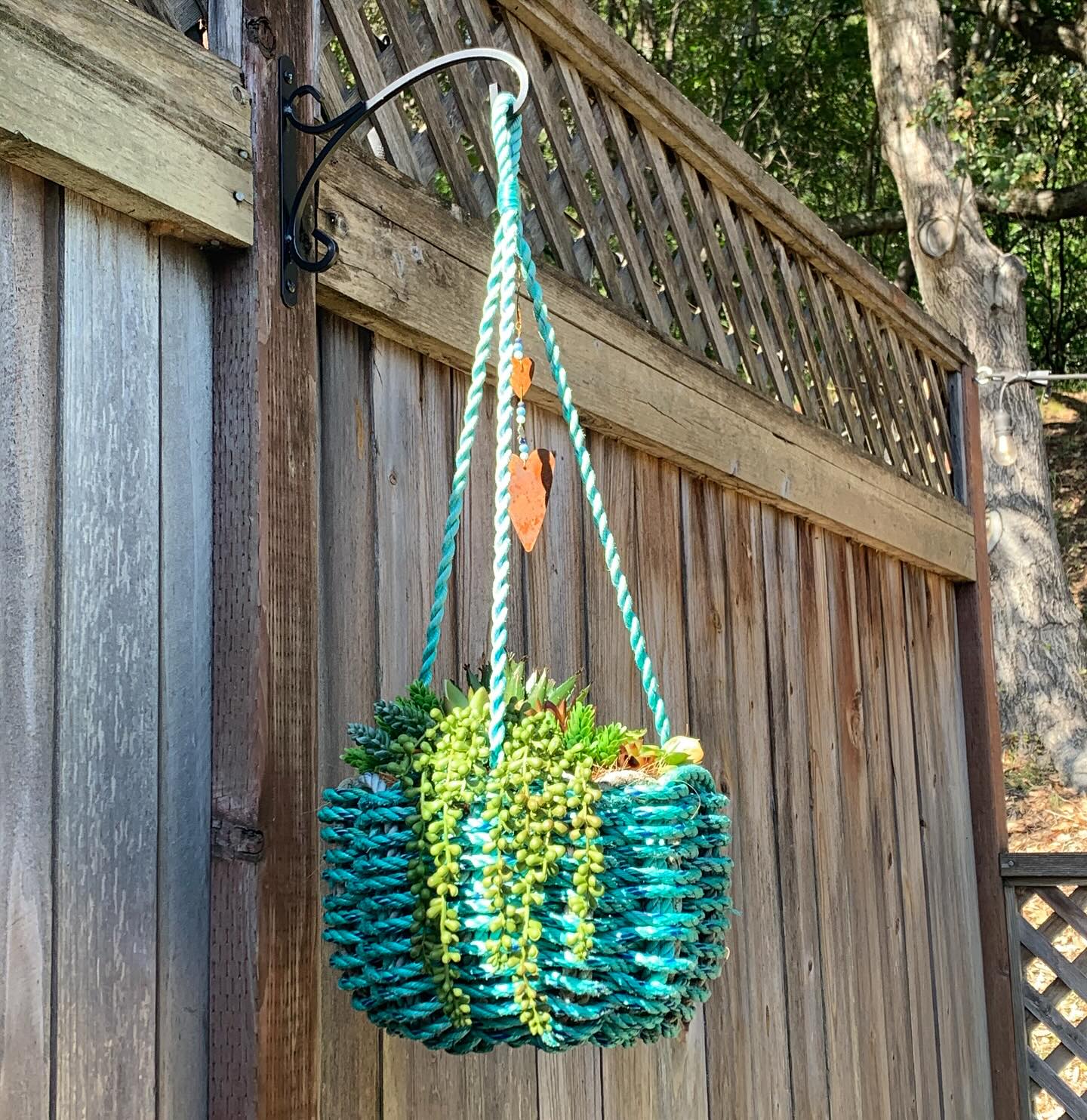 A friend just sent us pictures of her hanging sea basket filled with succulents. Isn’t she so pretty!