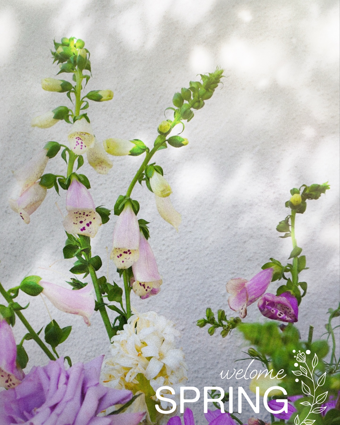 The season of renewal is here! May your days be filled with sunshine and your heart with hope and floral inspirations. 🪻