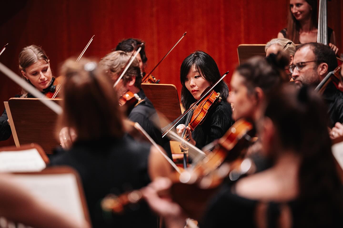 UNBESCHWERT! ☀️ mit Gioachino Rossini, Charles Gounod und Felix Mendelssohn
1.6.2025 I 18:00 Uhr I Stadthalle Aalen
Das AALEN FESTIVAL ORCHESTER mit Dirigent Gero Wittich und rund 40 Musiker:innen aus ganz Deutschland
👉 Tickets: Link in Bio 👈
Herzliche Einladung 🫶
📸 @bwdphoto.de I Holger Bewersdorf
📷 AAFO2024
#aalenfestivalorchester #AAFO #Konzert2025 #gerowittich #aalen #ostalbkreis #stadthalleaalen #klassik #stadtaalen #aalenkulturundevent #musikfürdieseele #musikfürsherz #hiddenchampions