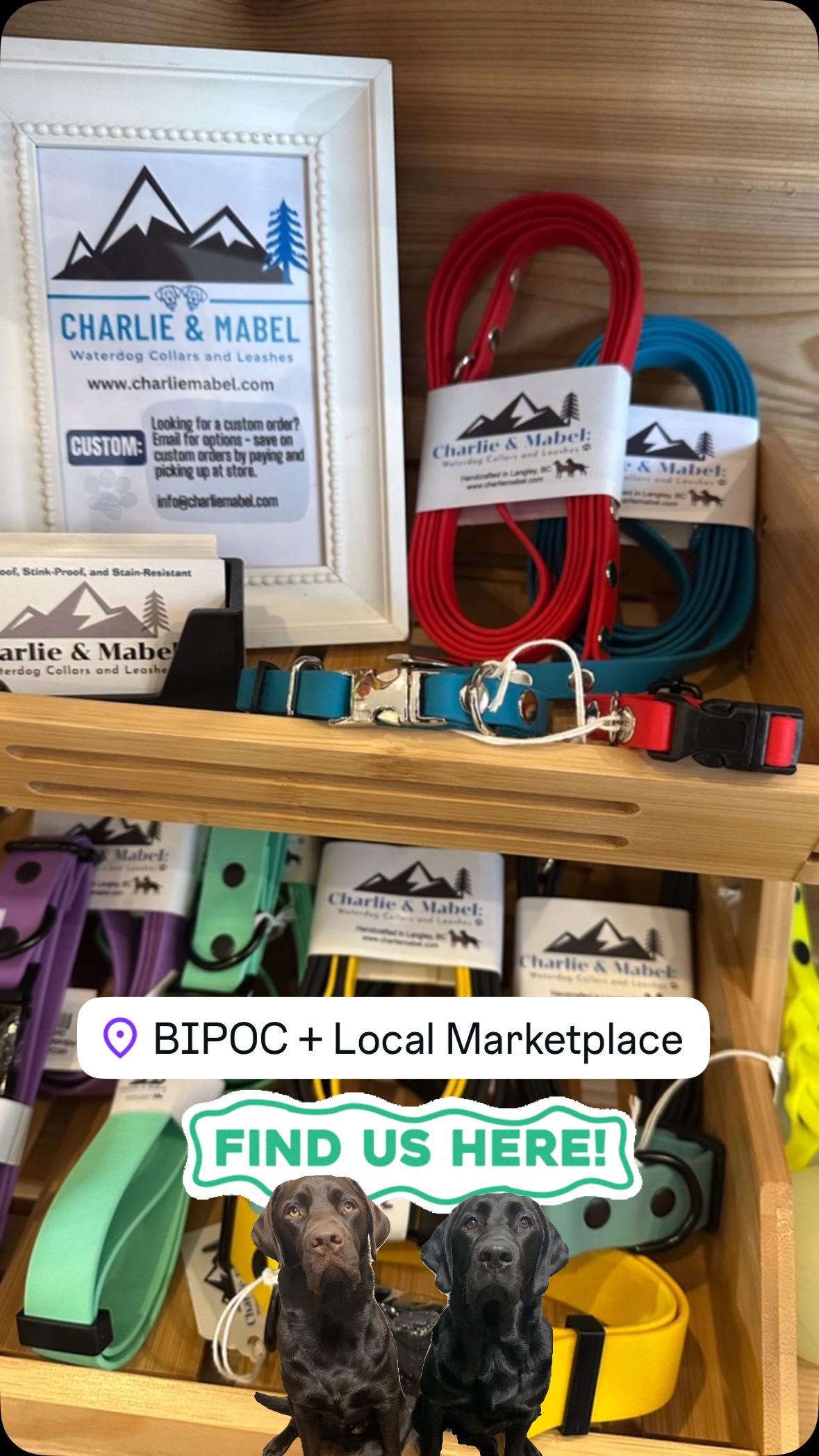 #buylocalbc #buylangleybc #langleybusiness #yvrdogs #langleybc #bcdogs