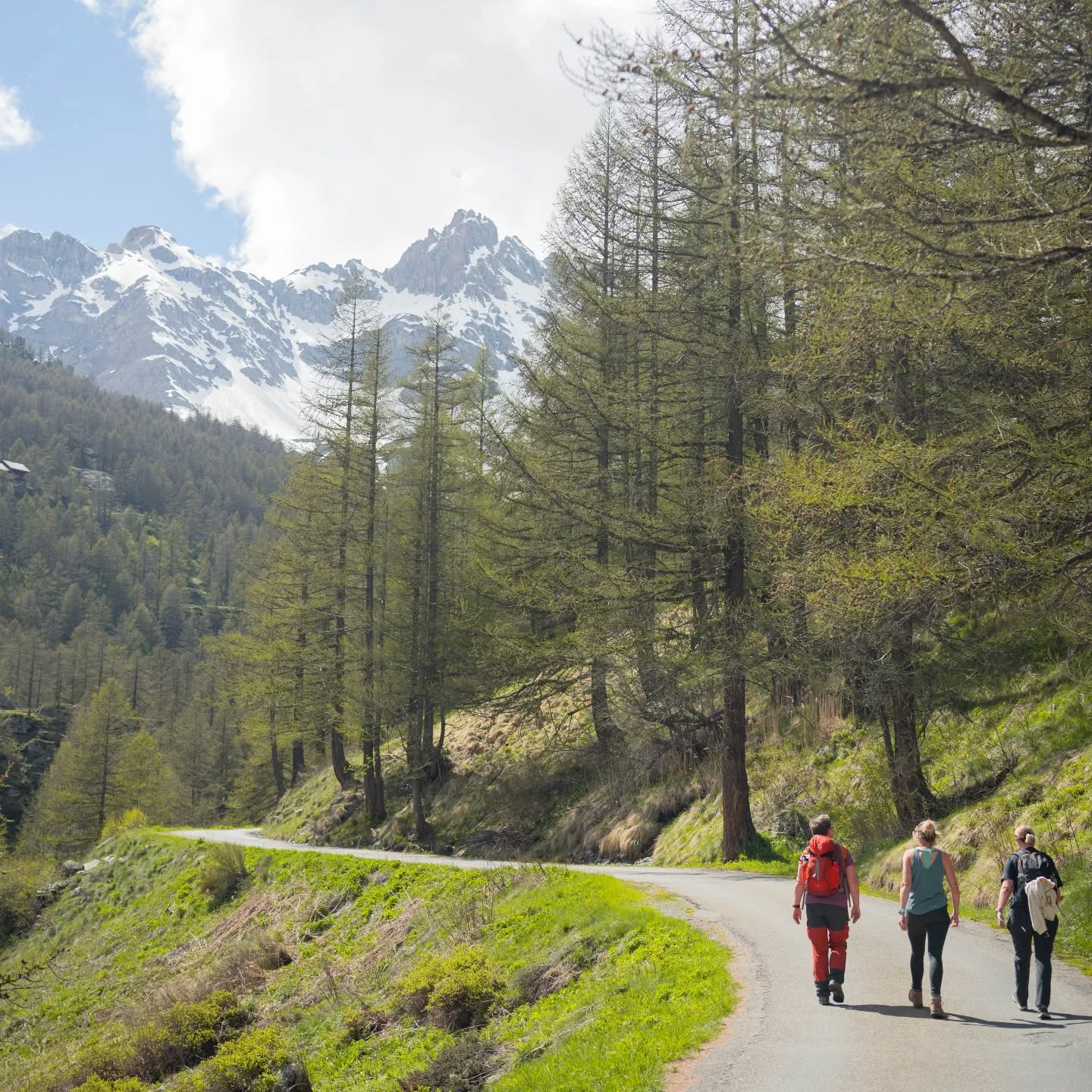 🌿 Een wilde reis, het leven. 🌿
Ik ben enorm dankbaar voor programma’s zoals Wildlife van productiehuis @rosesarebluetv . Programma’s waarin dappere mensen de kracht van kwetsbaarheid durven tonen en voorleven. Tijdens het kijken naar het programma voelde ik een warme glimlach op mijn gezicht 😊 – een glimlach van herkenning.
De dapperheid van de deelnemers, de schoonheid van de authentieke verbinding, de voorzichtigheid en het aftasten in een nieuwe groep, de kracht van kwetsbaarheid, de (zelf)acceptatie na het delen van jouw verhaal… 🌿 Dit in een zorgzame, respectvolle en veilige bedding die de mogelijkheid biedt voor deze groeiprocessen. Het neemt me helemaal terug mee op de Passagetochten. 🤩
Uit de comfortzone, in de experimenteerzone. Groeien vanuit een veilige basis, door nieuwe ervaringen, de natuur én door elkaar. 🌱
Ik wil de makers van het programma en de psychologe Dominique Mertens graag uitdrukkelijk bedanken voor het onder de aandacht brengen van de kracht van ervaringsgerichte groepstherapeutische reizen. 🙏🤗
Wat kijk ik er weer naar uit om binnen enkele maanden terug deel te mogen uitmaken van soortgelijke groepsprocessen tijdens de Passagetochten. 🏞️ Wil je er het komende jaar graag nog bijzijn? Neem contact op via de website: www.passagetochten.fr en vraag een gratis kennismakingsgesprek aan.
Samen op een prachtige reis,
naar binnen,
naar de kern.
💚
Liefs,
Karlien
📸@studiomonte
🙏 Throwback mei '24
#Wildlife #Kwetsbaarheid #Groei #Ervaringsgericht #Passagetochten #Groepstherapie #AuthentiekeVerbinding #Veiligheid #Levensreis #Zelfontwikkeling #SamenGroeien #OutOfTheComfortZone #MentaleGezondheid #InnerlijkeReis #Groepsproces #psychologe