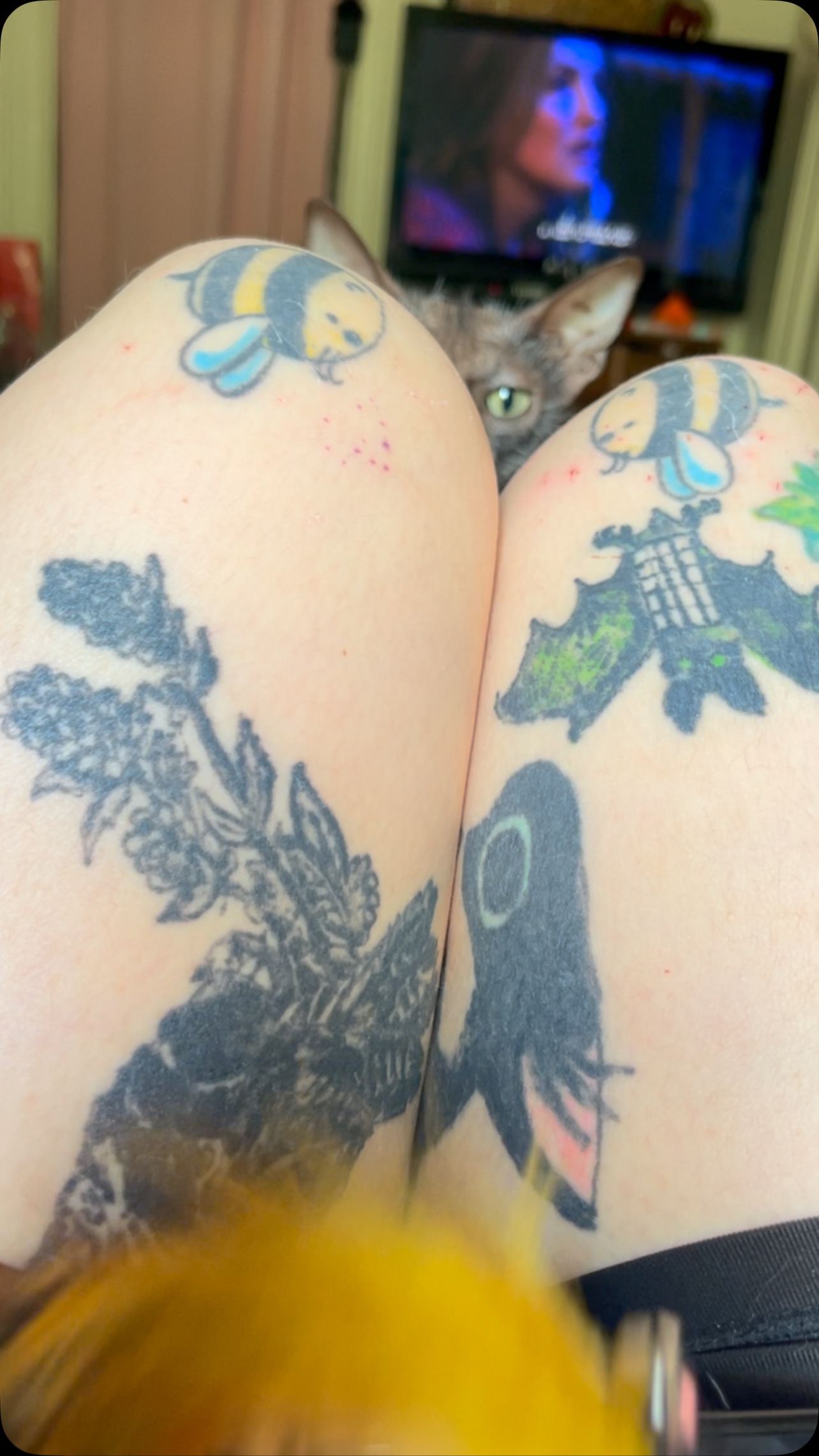 Vicious attack!
@elviramusubi
#lykoi #werecat #lykoicat #lykoikitten #kitten #cat #kitty #cute #hairless #sphynx #exoticcat #werewolf #werewolfcat #chupacabra #monster #gremlin #paws #toebeans #wrinkles #fleshy #cats #catsofig #catsofinsta #elvira #catsofinstagram