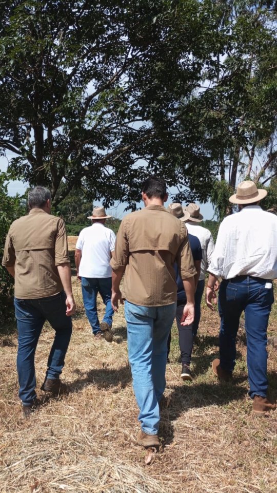 Difícil imaginar a agricultura do futuro sem as soluções sustentáveis. E a #predativa dá um passo importante nessa direção. Visite nosso site no link da bio e saiba mais.
#agroecologia #sustentabilidade #predativa #controlebiologico #pragasagricolas