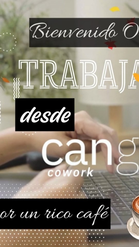 Muchos dirán esto: al fin llegó el rico Otoño .... un poquito más de frescura a la vida.. 🍁🍂🍁🍃
Te invitamos a Cango Cowork para que pases una agradable jornada laboral, tomando un rico café, tecito o tu rico mate..☕🍵🧉.
Si buscas un espacio cómodo, inspirador y productivo para trabajar. Ven a conocernos y disfruta de un ambiente ideal para conectar, crear y crecer.
📍Ubicación: Diego de Velásquez 2079, Providencia.
🕘Horarios: Lunes a viernes de 8:00 a 20:00 hrs.
#coworking #cowork #oficinas #emprendedores #profesionales #direcciontributaria #empresas #independientes