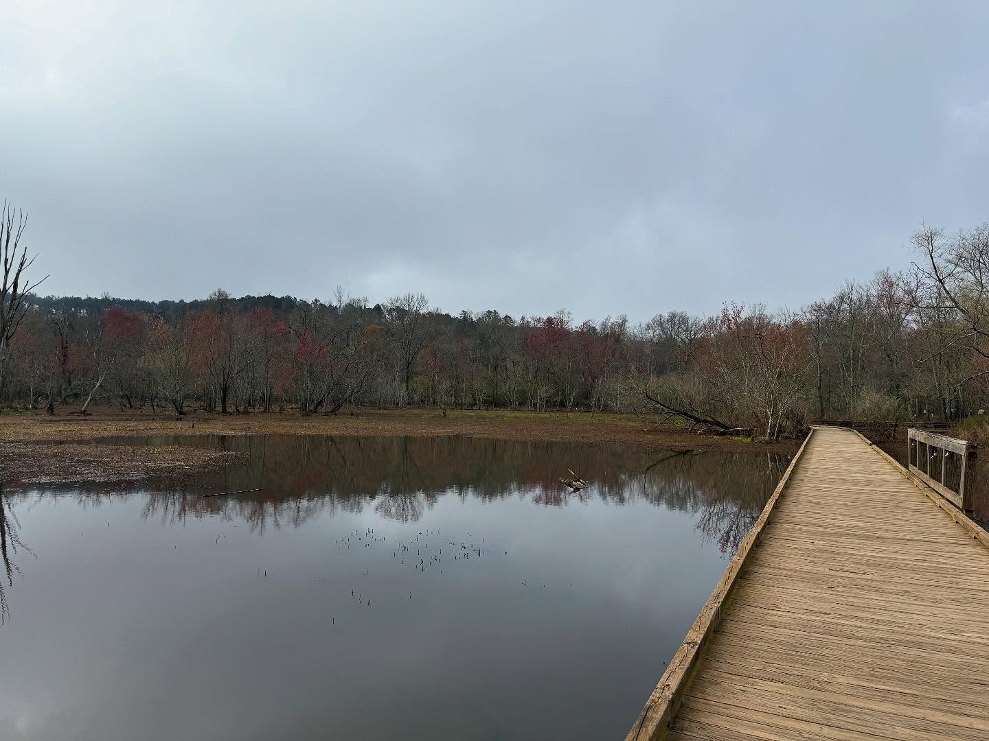 🌳 Last Friday, we had the privilege of joining Friends of Constitution Lakes Park and the incredible @parkpride for a memorable walk at Constitution Lakes Park. Guided by naturalist Tasha Messer, we explored this hidden gem’s wetlands, trails, and the whimsical Doll’s Head Trail. We also had the pleasure of meeting Joel Slaton, the trail’s creator, who shared its origins and its inspiring evolution. And as if that weren’t enough, we crossed paths with Joy Carter and Ken Boff—two champions of bird conservation and urban park advocacy @birdsgeorgia Huge thanks to Friends of Constitution Lakes and Park Pride for hosting such a wonderful event. It was a truly enriching experience that reminded us why these green spaces are so essential. 🌱
#parkpride #nature #wildlifeconservation #dollsheadtrail