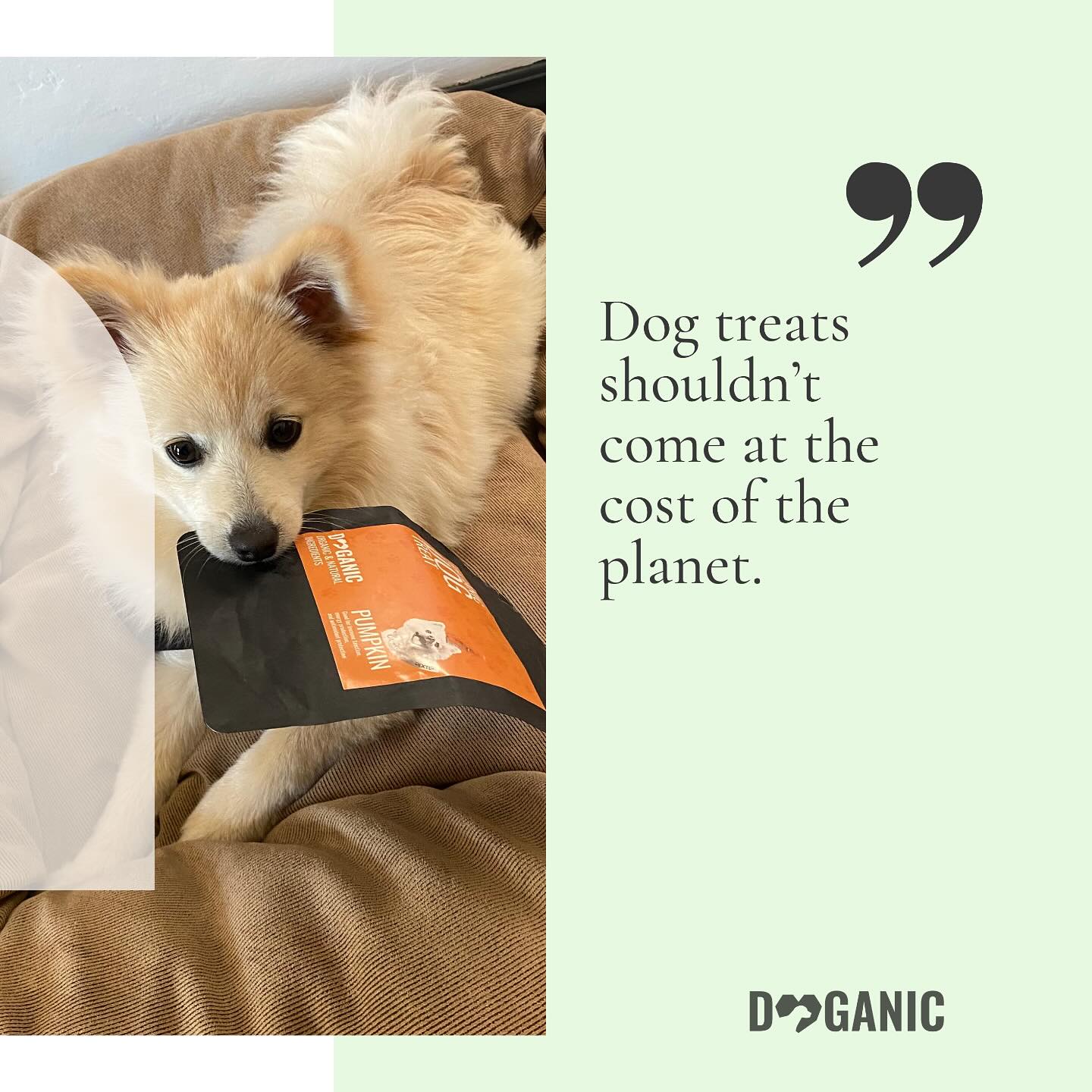 Dog treats shouldnโt come at the cost of the planet ๐