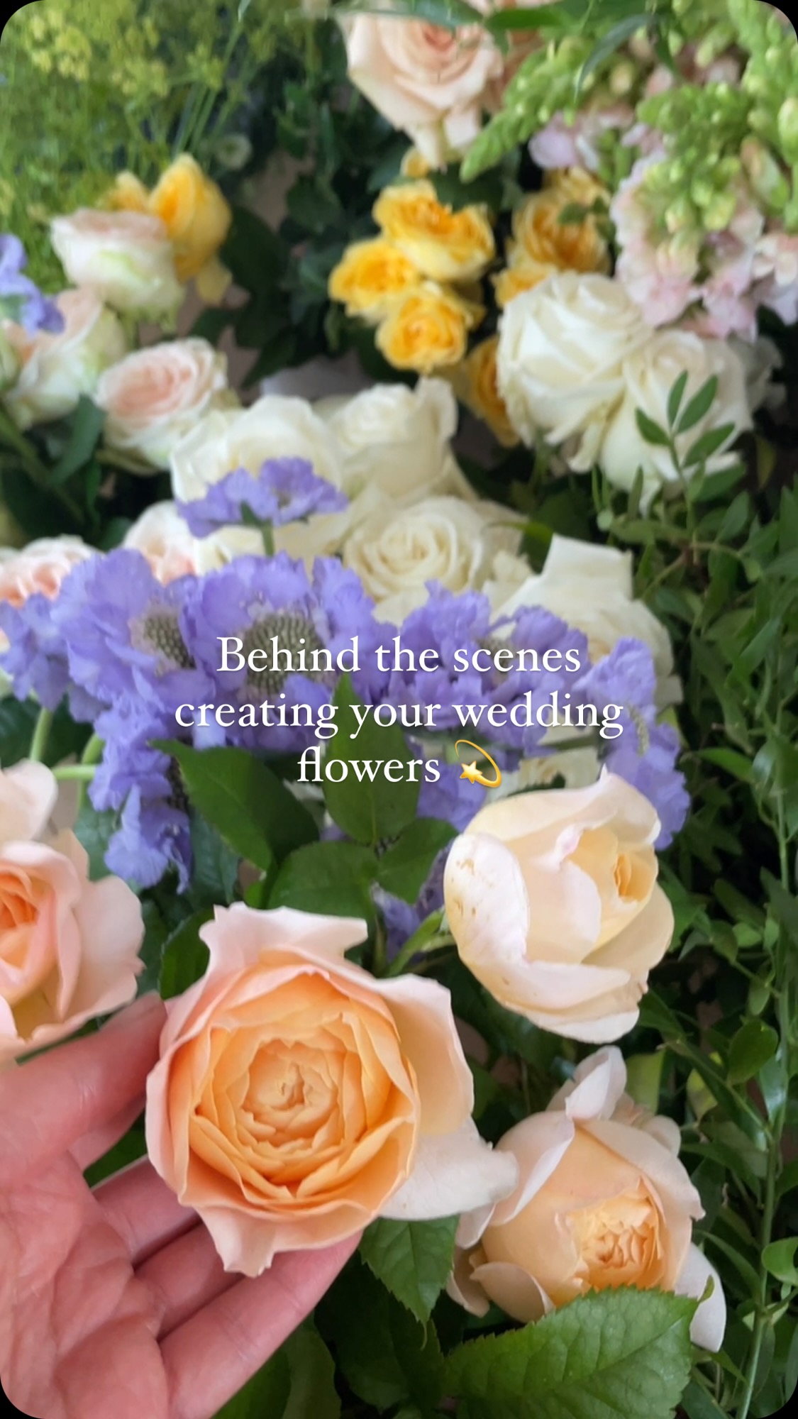 Behind the scenes creating your wedding flowers⦠šø
Pastel wildflower vibes for Lauren & Nathan at Plas Dinam last summer.
@wyldbeephotography
@plasdinamcountryhouse
@tallulahand.co
@thebotanicaldyer
@laurenbishop97_
#weddingflowers #floralinspiration #floristsofinstagram #weddinginspiration #2026bride #bridetobe #2026wedding #soontobemrs #fineartflowers #intimatewedding #luxuryflorals #wildflowerwedding #plasdinamcountryhouse #barnwedding #rusticwedding