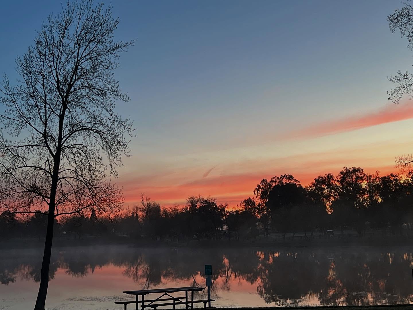 Mussel Dogs is proud to be partnering with Rancho Seco Recreation area to strengthen their mussel prevention program. #myofficeisbetterthanyouroffice