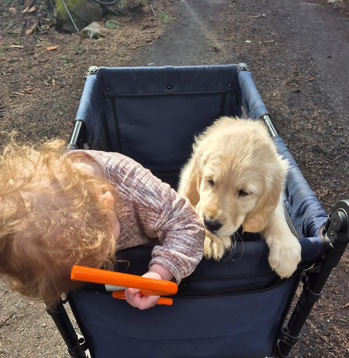 Teddy is enjoying life with his new family! 🐻🤍