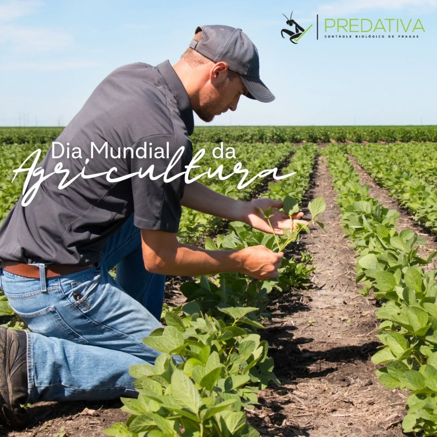 Quer saber mais? Visite nosso site no link da bio.
#diamundialdaagricultura #macrobiologicos #bioinsumos #sustentabilidade #agroecologia #predativa #produçaoonfarm