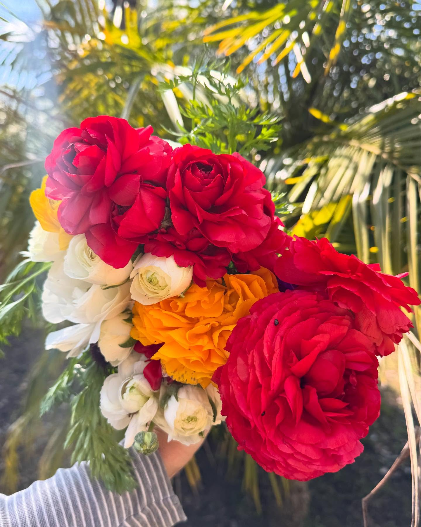 Spring is officially upon us & we celebrated today while harvesting flowers from our client gardens.
How do you celebrate the Vernal Equinox?