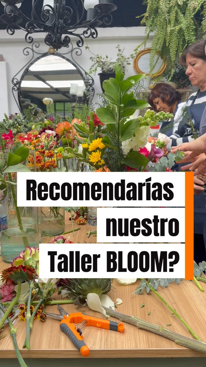 ⭐️⭐️⭐️⭐️⭐️ Nuestras participantes recomiendan nuestro 🌸TALLER BLOOM! #bienestarfloral #talleresflorales #conexiónnatural #autocuidado #artebotánico #artebotanico