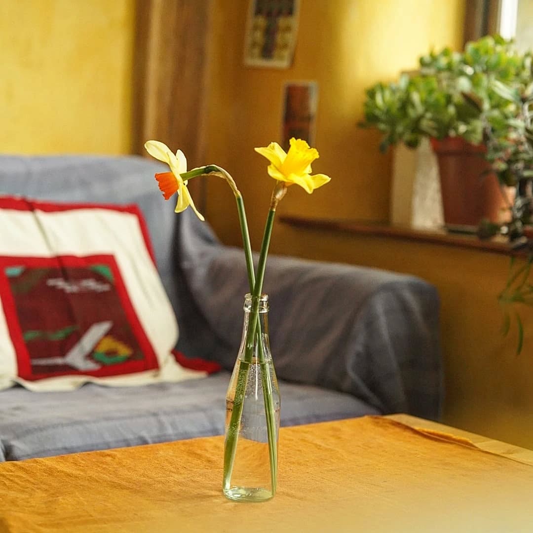 A delight to have @caffirfelin back open today 🌻 Look forward to welcoming you over the weekend!
Open Friday, Saturday & Sunday 10 - 4
Kitchen closes at 3pm
Breakfast 10 - 3 | Lunch 11.30 - 3
See you there! 🌱
...
Gwych cael drysau'r caffi 'nôl yn agored heddiw 🌼 Mae'n bleser croesawu pawb yn ôl, gwynebau cyfarwydd a newydd!
Ar agor dydd Gwener, Sadwrn & Sul 10 - 4
Cegin yn cau am 3
Brecwast 10 - 3 | Cinio 11.30 - 3
Welwn ni chi acw! ☕