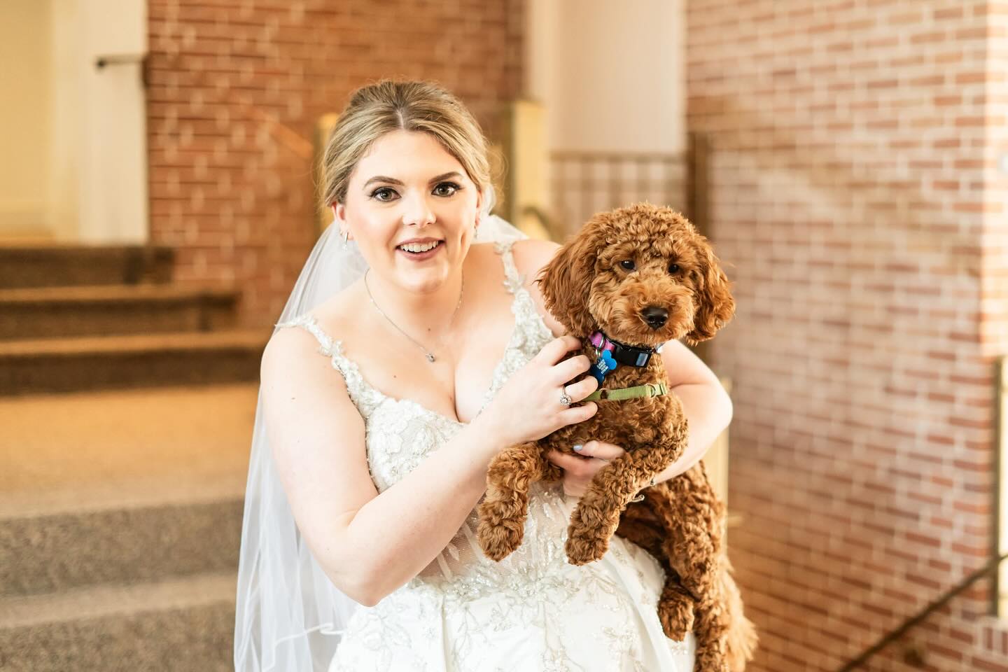 National Dog Day! Just putting this here to make it abundantly clear that your family is who you tell me it is! This year the Petermans had their pup with them at their catholic ceremony and throughout the reception.
On deck for this year is a quiet wedding with 8 dogs guests- two of which are seeing eye dogs in training. I’m pretty sure their guests will be the happiest.
They 🐕 are welcome at your session, ceremony, reception if you are asking me! 😉
#marylandweddings #delawareweddingphotographer
#delawaredogs