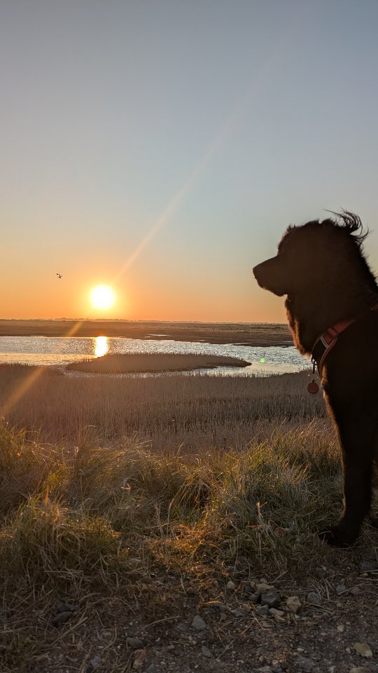 Sunrises with the Girl, no people, no dogs... Bliss.