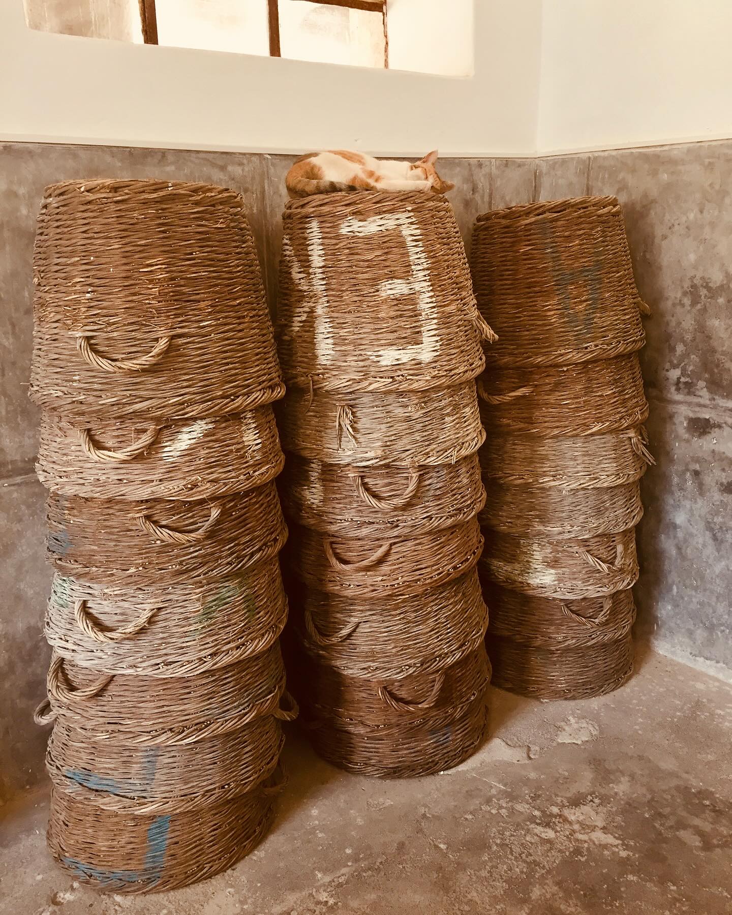 FR/ENG > Il y a ces instants simples, et pourtant si précieux : surprendre un chat endormi, être sur le pont d’un ferry avec un livre, dîner les pieds dans l’eau, prendre un bus sans vraiment comprendre le grec, étendre le linge sous le soleil éclatant, voir les chaises empaillées annoncer le début de la saison, tenter - en vain- de capturer la pleine lune en photo, prendre un verre au coucher de soleil … C’est cette simplicité-là qui me fait tant aimer la Grèce ❤️🇬🇷🧿
ENG > There are these simple, yet so precious moments: catching sight of a sleeping cat, standing on the deck of a ferry with a book, dining with your feet in the water, taking a bus without really understanding Greek, hanging laundry under the blazing sun, seeing the straw-seated chairs herald the start of the season, trying—vainly—to capture the full moon in a photo, enjoying a drink at sunset…
It’s this very simplicity that makes me love Greece so much.❤️🇬🇷🧿 #lovegreece #traveltogreece #greekcats #vacationreading #augustfullmoon #greektavernas #greekfoodlovers