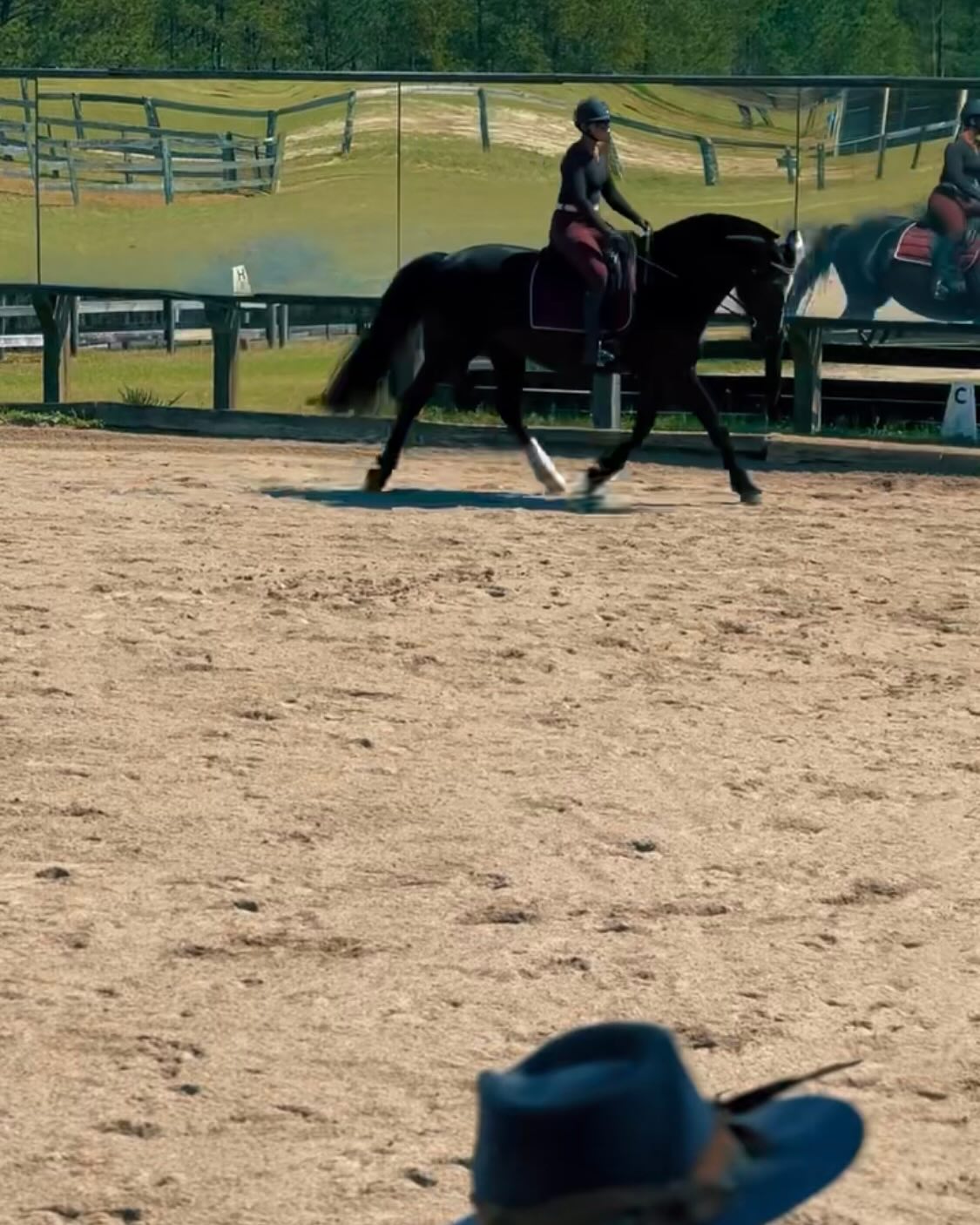 Our first outing off the farm since June and I couldn’t be more proud of how Luna has grown and shown up.
Our lesson today with @murdoch_method was so incredibly helpful. Even though I’ve compensated for it well, I didn’t realize just how trapped I felt in my body.
Wendy guiding me through much needed subtle releases really helped with getting those missing puzzle pieces Luna and I needed ❤️