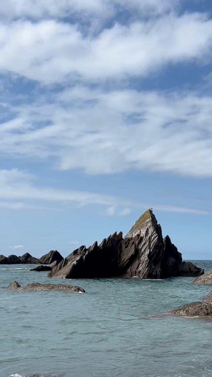 ©️ Galerie Fantôme
🦉