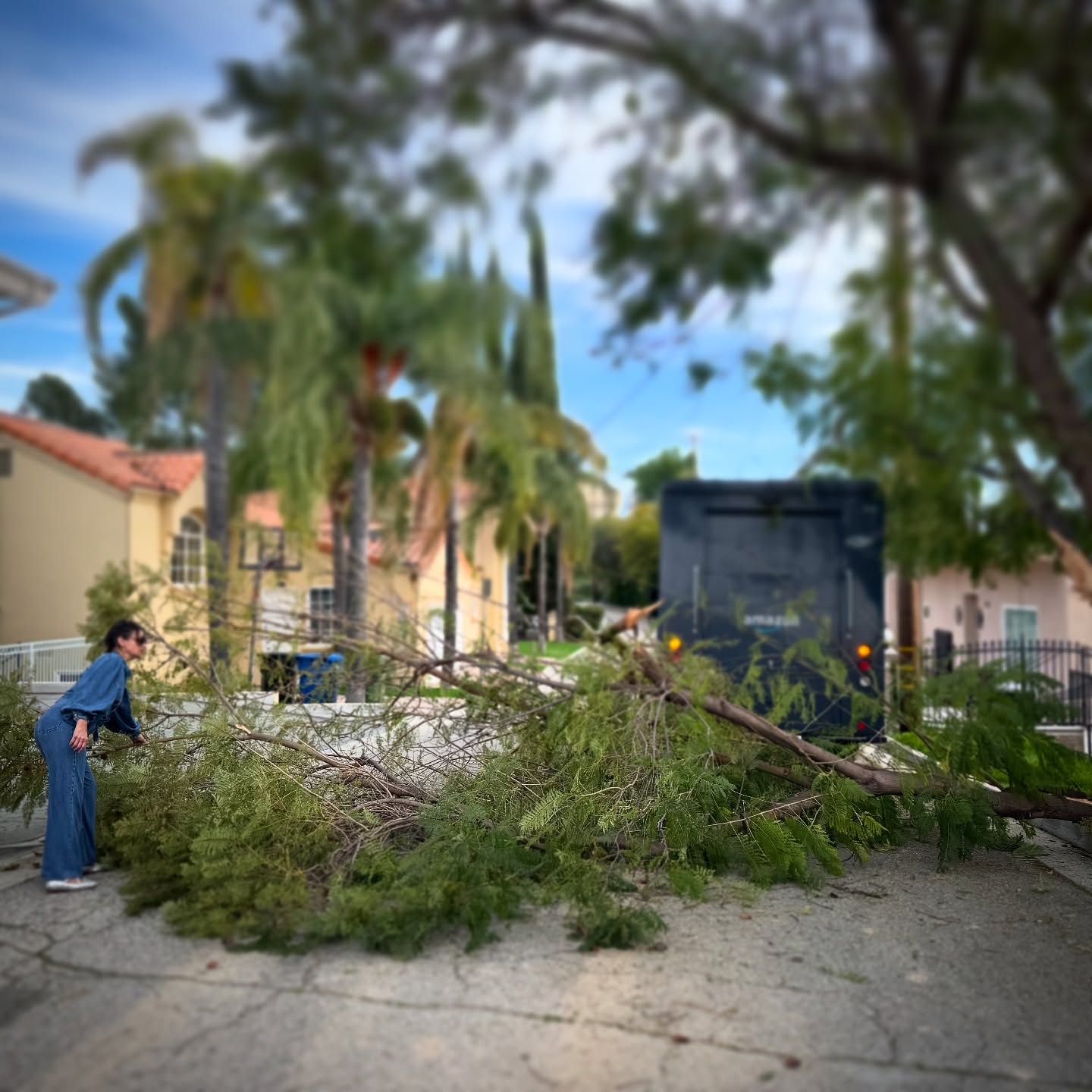 #Amazon truck strikes again. Living on a dead end, running late to a birthday party, this is what we discovered trying to leave. Almost had to off-road over the summit!