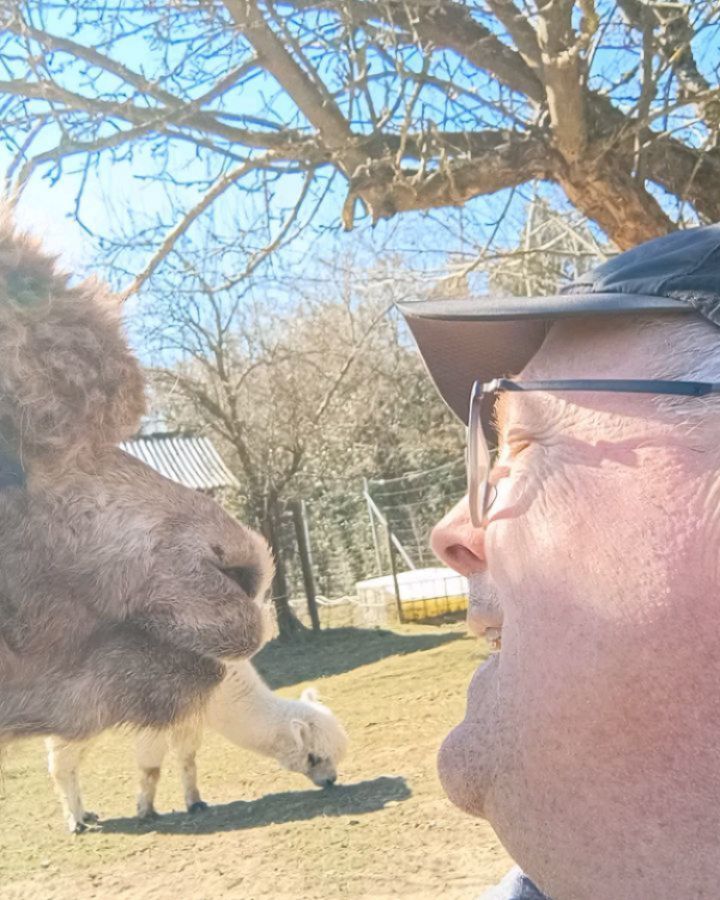 Schockierend! Plötzlicher Alpakaschmuseangriff bei den @obstwiesen.alpakas ! 😜❤️👍🏼🦙
#hug #kiss #schmusen #attacke #attack #überraschung #obstwiesenalpakas #pepperdasobstwiesenalpaka #alpaka #alpaca #alpakasofinstagram #alpacasofinstagram #alpacalove #badmünstereifel #euskirchen #bonn #köln #cologne #ahrtal #koblenz #angriff #herz