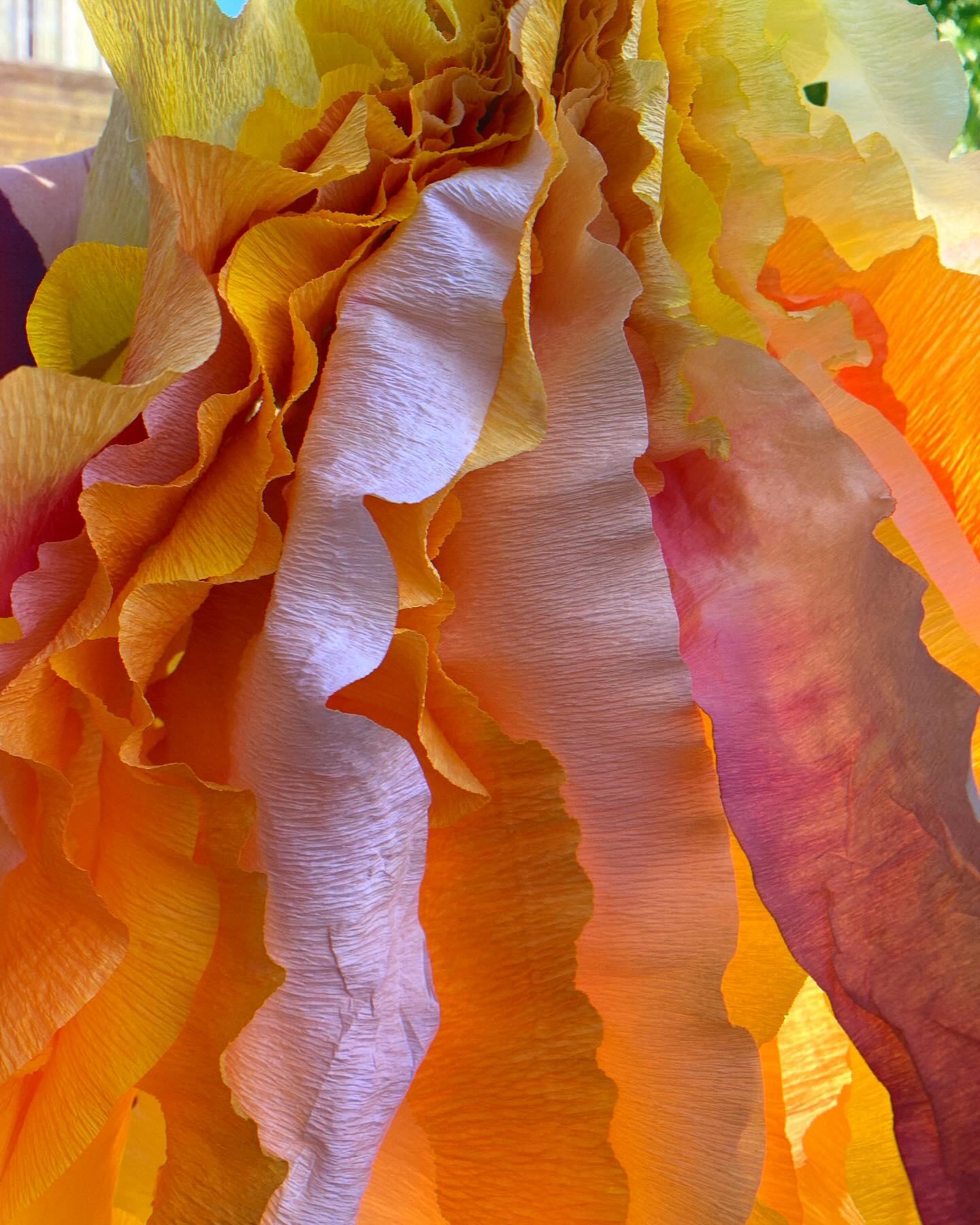 In between seed sowing, workshop tidying, and clearing spaces for all those autumn sown seedlings, I’m also continuing to develop my range of paper flowers. I’m experimenting with hand dying the papers, and love the random and beautiful results in both texture and colour. Hmmm which flower would this paper suit..? I have a paper zinnia workshop next week with a few spaces still available, so do get in touch for details #paperflowers #crepepaperflowers #handcrafted #foreverflowers #workshop #newskill #findyourjoy