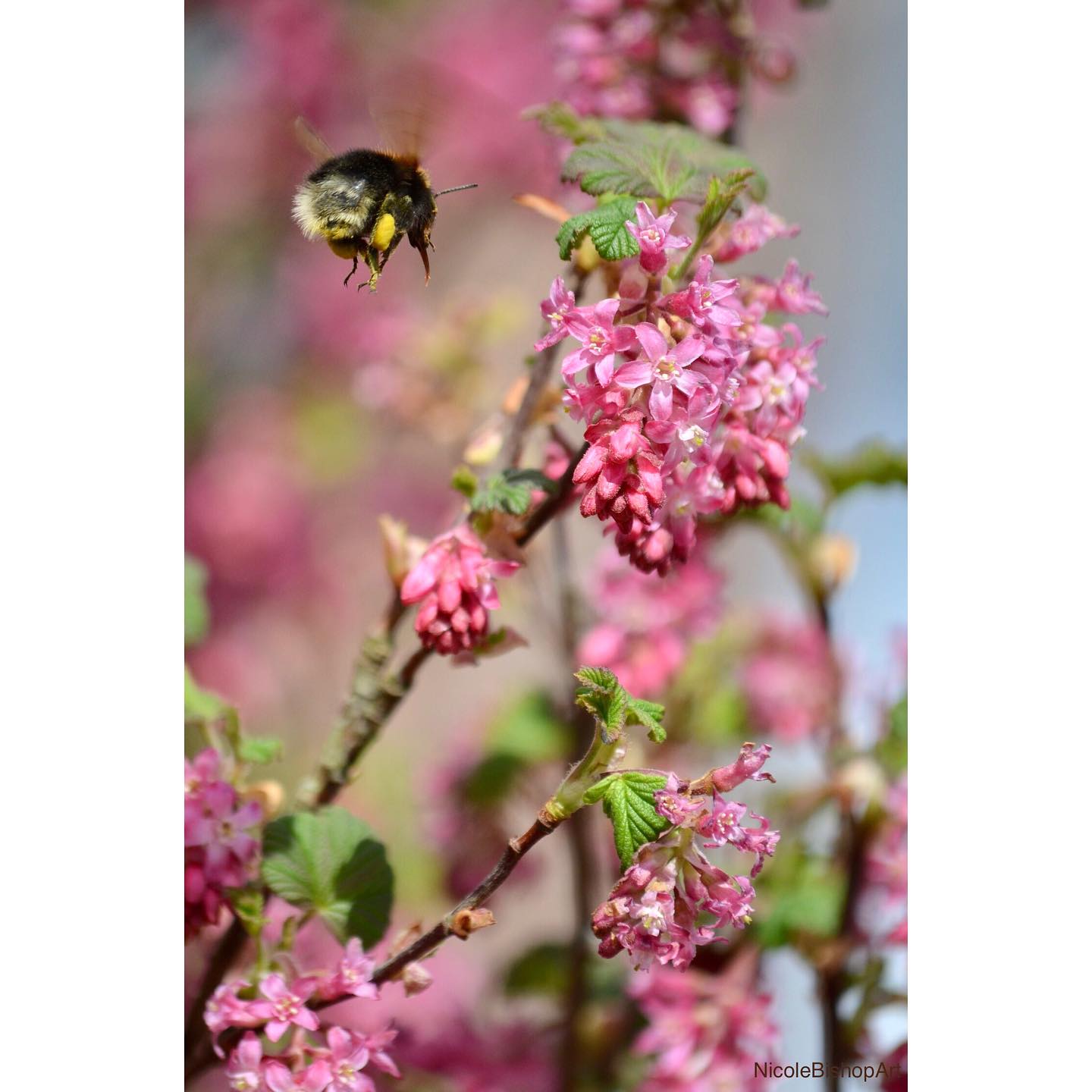 🌸 Spring is here 🌸
There’s just one week left to utilise our ‘March Midweek Breaks’ special! Get 25% off per night from Sunday to Thursday.