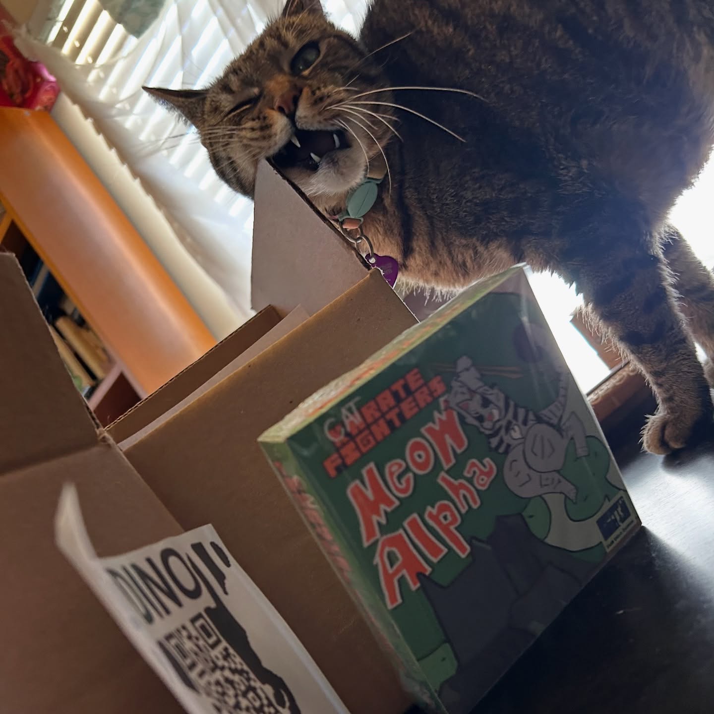 New home brew Gameboy game made by one person in the style of Zelda and Donkey Kong Country!
Project Meow Alpha has been unfurled, hypnotizing humans to replace their indoor cats with robotic cats. Play as modern house cat Lana Leopard and traverse through incredible destinations such as Clover Country, Tortoiseshell Beach, and Clowder Cave to find the 12 board member key cards to gain access to the Toy Factory and restore the harmony between humans and cats.
Support real human art, head over to Etsy and buy a limited physical edition of Meow Alpha with exclusive 8-bit stickers, Clover Country green cartridge for Gameboy, handmade box and instruction manual!