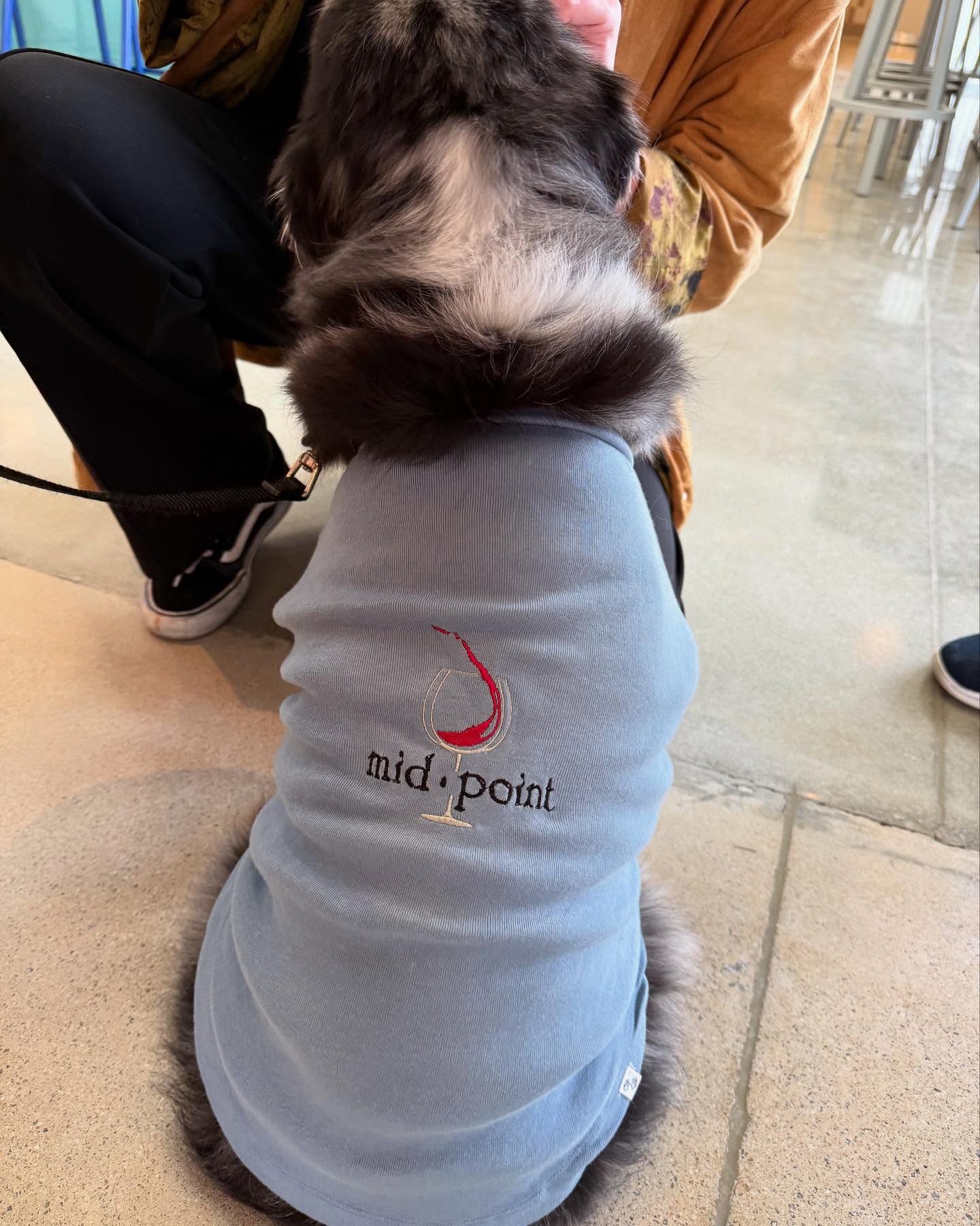 Dusty loves mid•point. You will too! Note, this isn’t standard issue swag. Custom made by some awesome club members!