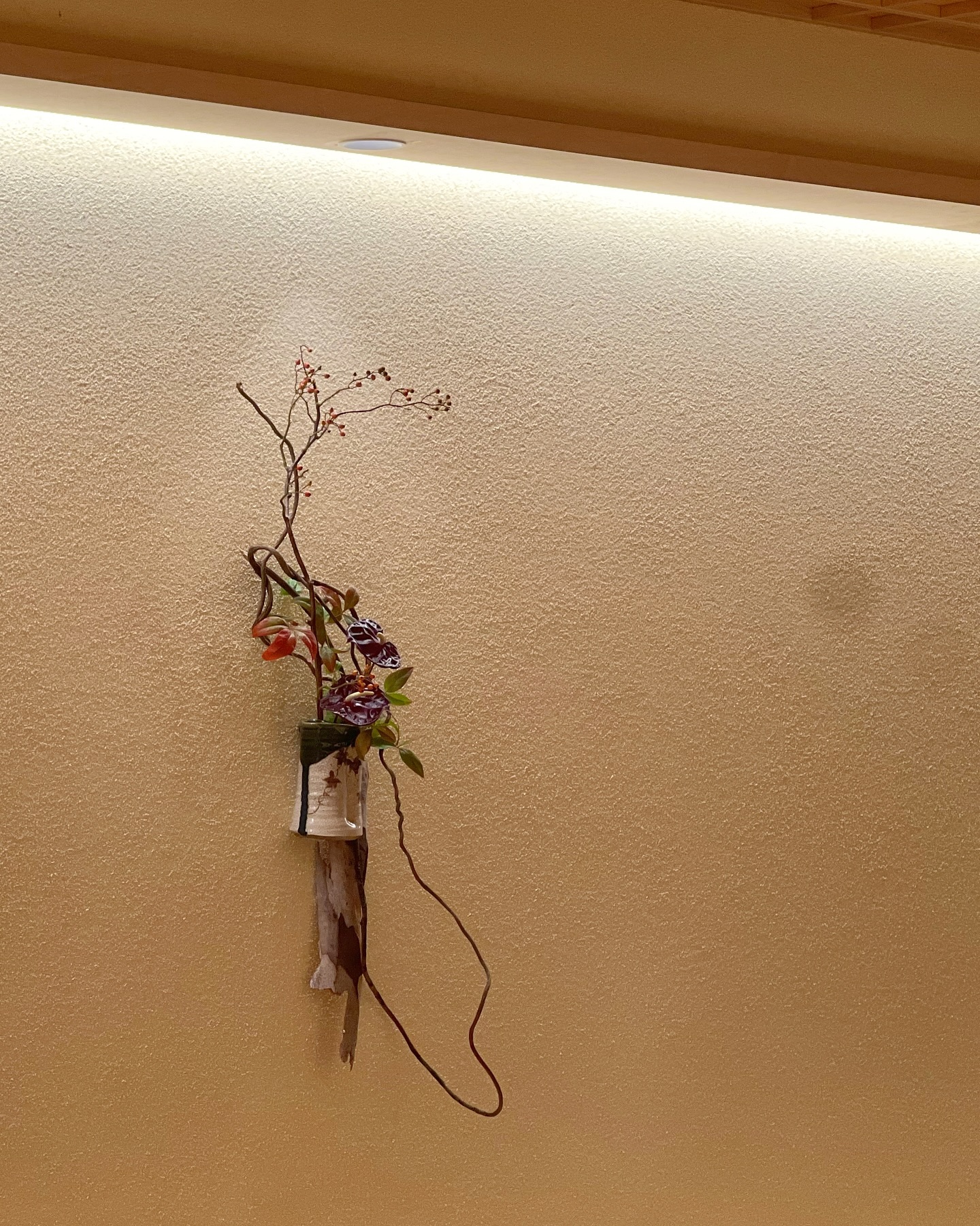 Leaves turning color whisper farewell, berries gleam—an ikebana moment where nature’s cycle lingers in beauty.
@matsu_footscray
#ikebanamelbourne #hangingikebana