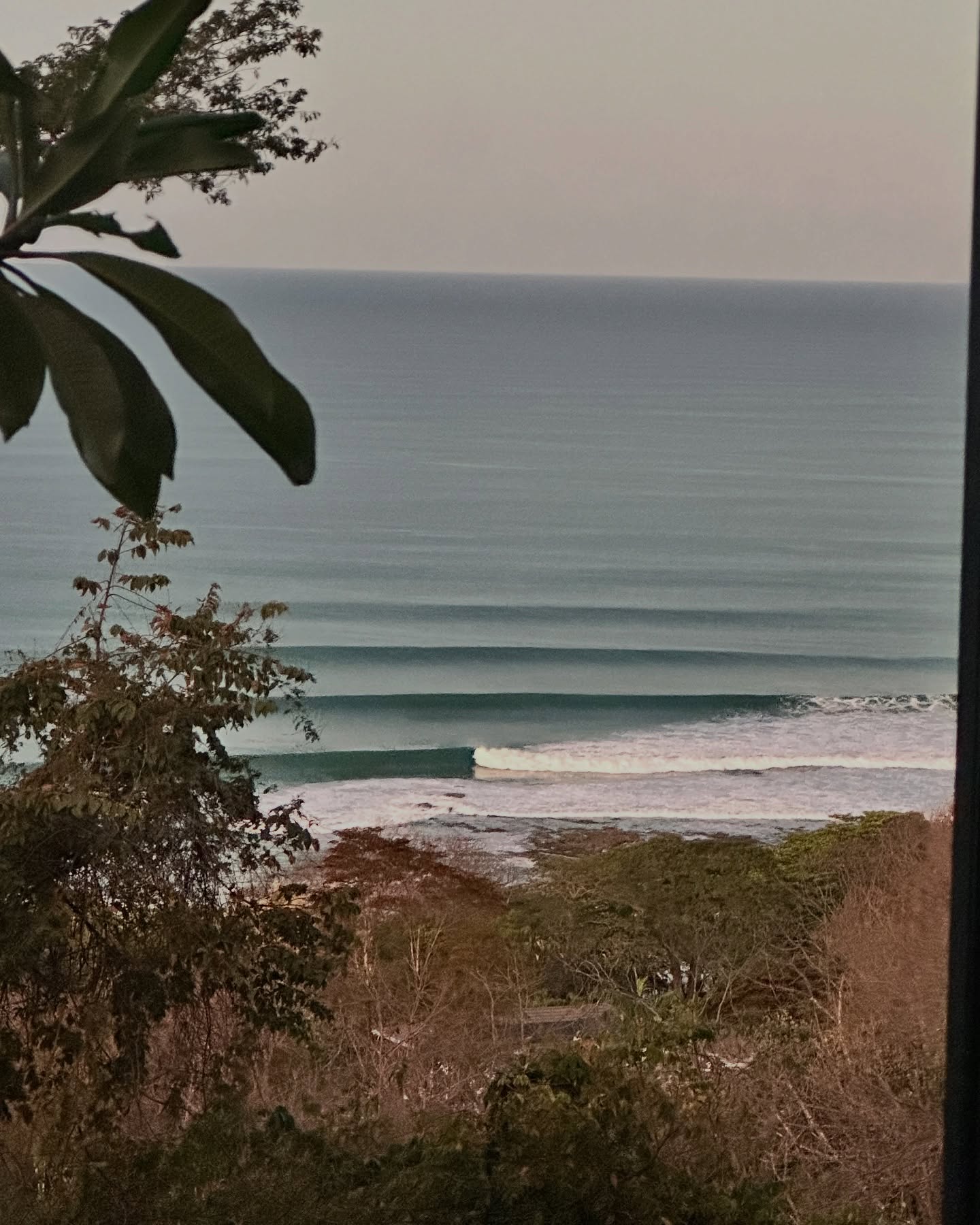 🌊 Non-stop SURF 🌊 🌊🌊
Walk to the surf in less than 3 minutes from Magic Place or check the surf from the comfort of your room at Casa Palo Santo! PM 📩 for reservations!! Green 💚🌻 season is coming and we still have room in our calendar!
#surfeveryday #santateresacostarica #walktothesurf #staywithus