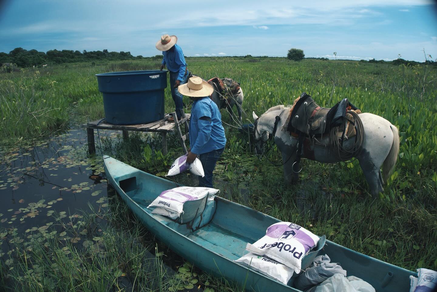 A few other shots from our adventure through the Pantanal💙
Thank you to the Pantanal Cowboys and @impactoinstituto for an amazing journey 🫶