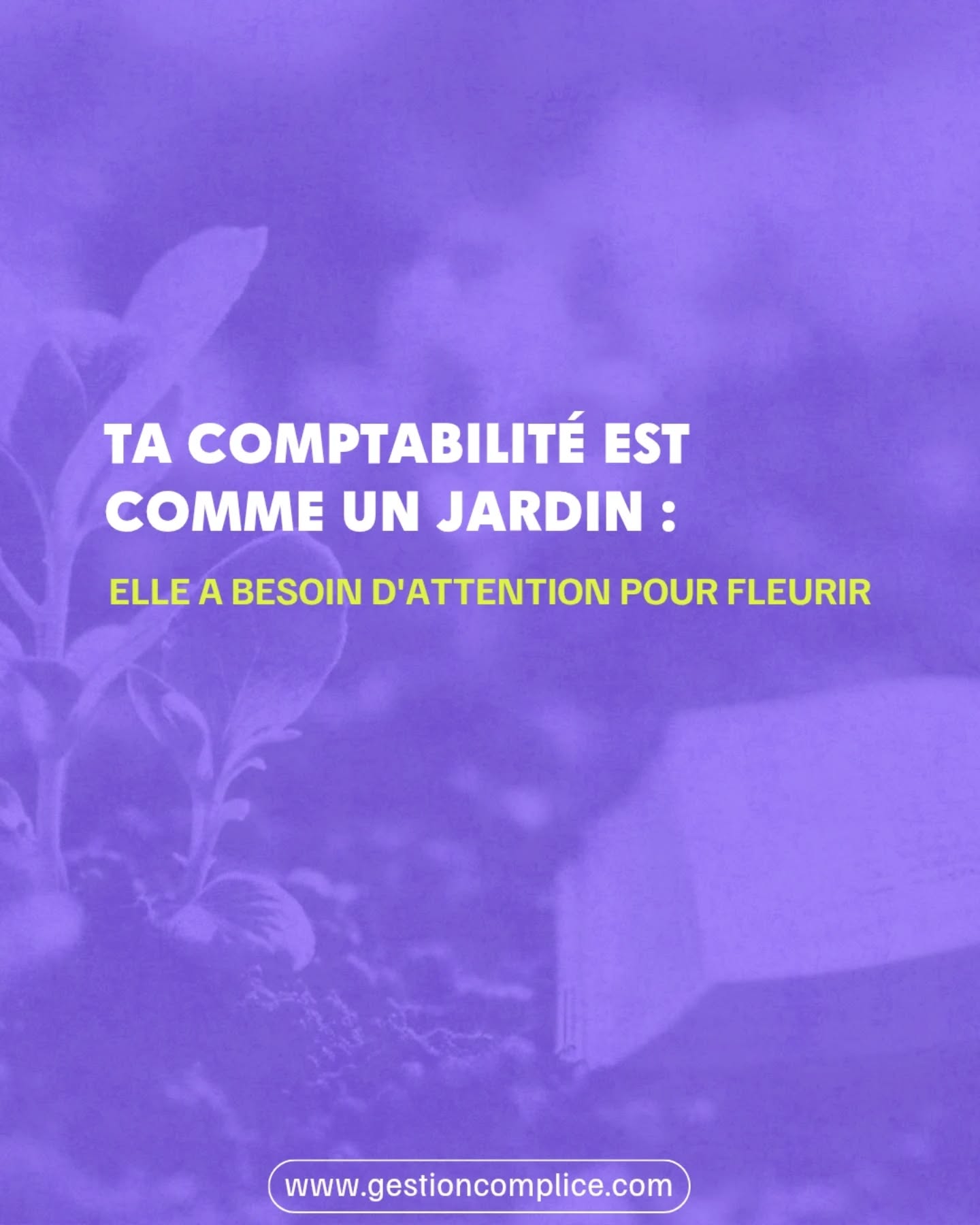 Tu plantes tes graines, si méticuleusement choisies selon les préférences de tes papilles... 🍄
Puis tu ajoutes ce qu'il faut : un bon terreau, juste assez d'eau et de lumière. Jardiner est un art, ma foi, auquel je ne réussis pas toujours. 😅
Mais promis, je suis meilleure en comptabilité qu'en jardinage !