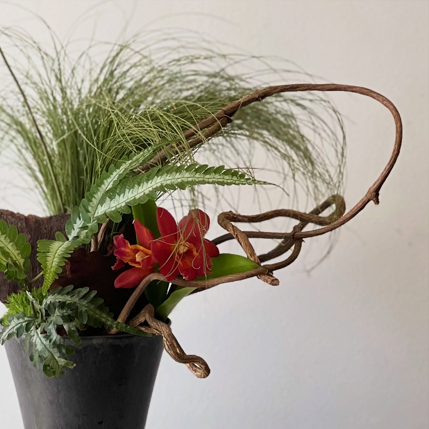 Amid the quiet beauty of nature, the wild orchid stands—graceful, untamed, and deeply rooted in the moment.
#ikebanamelbourne #wabisabi #naturepoetry #wildorchid