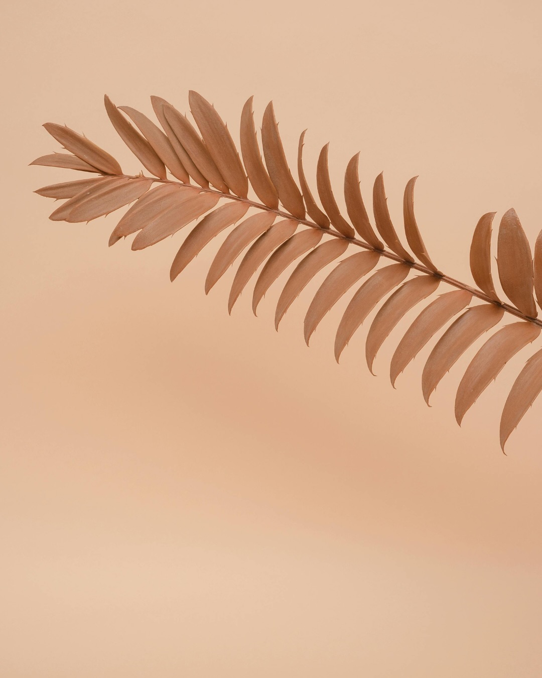 Un souffle après l’autre, tu reviens à toi. Tu laisses partir ce qui te pèse, ce qui te retient. Tu crées de l’espace, en toi, autour de toi. Et dans cet espace… tu brilles. Pas pour être vue. Mais parce que c’est ce que fait la lumière quand elle est libre.
Relâcher les tensions, les attentes, les résistances. Ouvrir les portes intérieures, même celles qu’on croyait fermées. Et traverser… Traverser les émotions, les vagues, les silences. Car tout est mouvement. Et toi, tu es ce souffle en mouvement.
Tarif: CHF 60.-
Nombre de place limité
Infos et inscriptions en DM ou par email: info@aeravia.ch