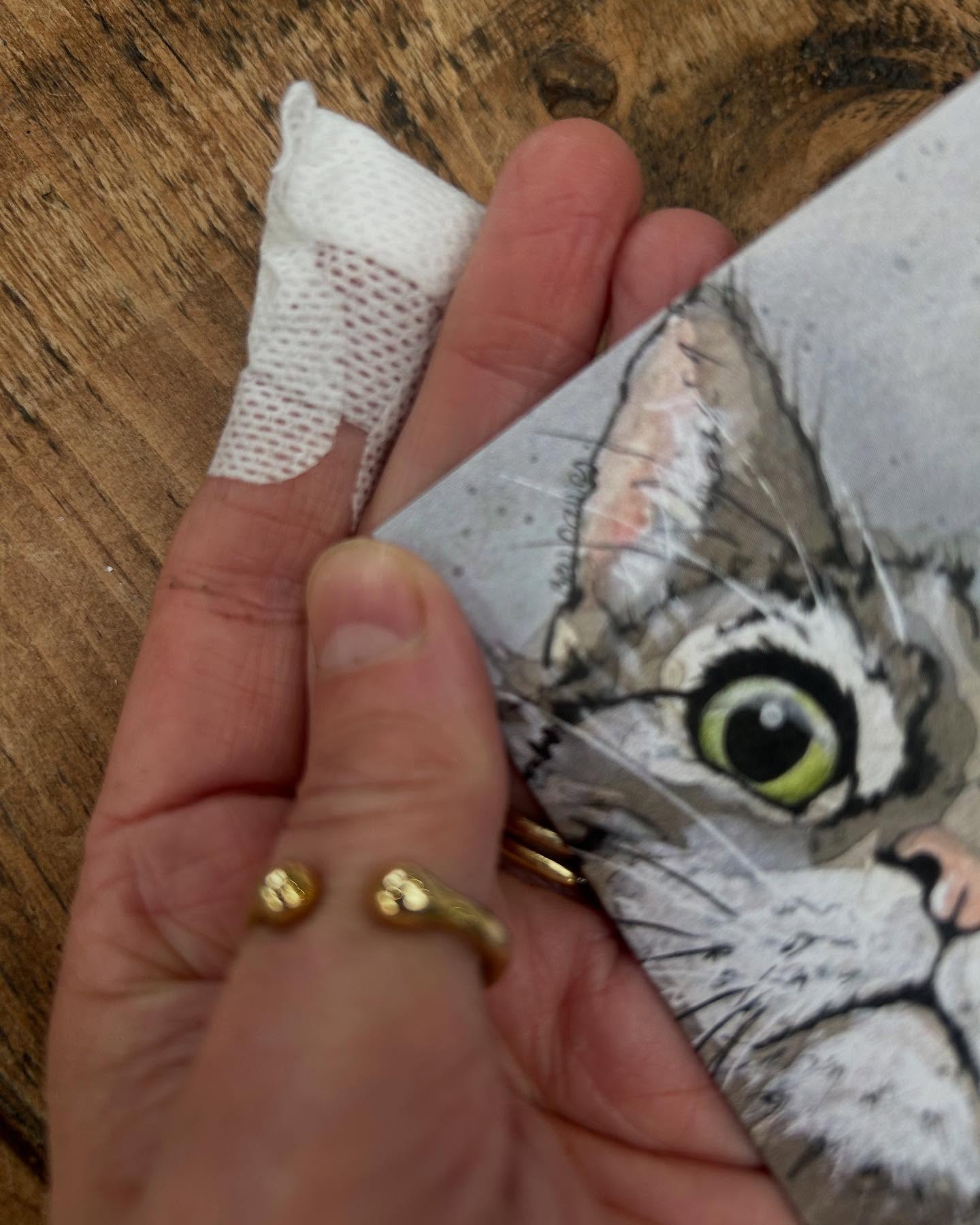 Back in the studio after a couple of weeks away.. during which I accidentally peeled the end of my finger instead of a potato 😂 fortunately it’s not my painting hand and it doesn’t hurt 🙌 Here is a sneaky peek of something new that’s going to be available very soon … keep watching 👀 especially if you are a cat lover ❤️