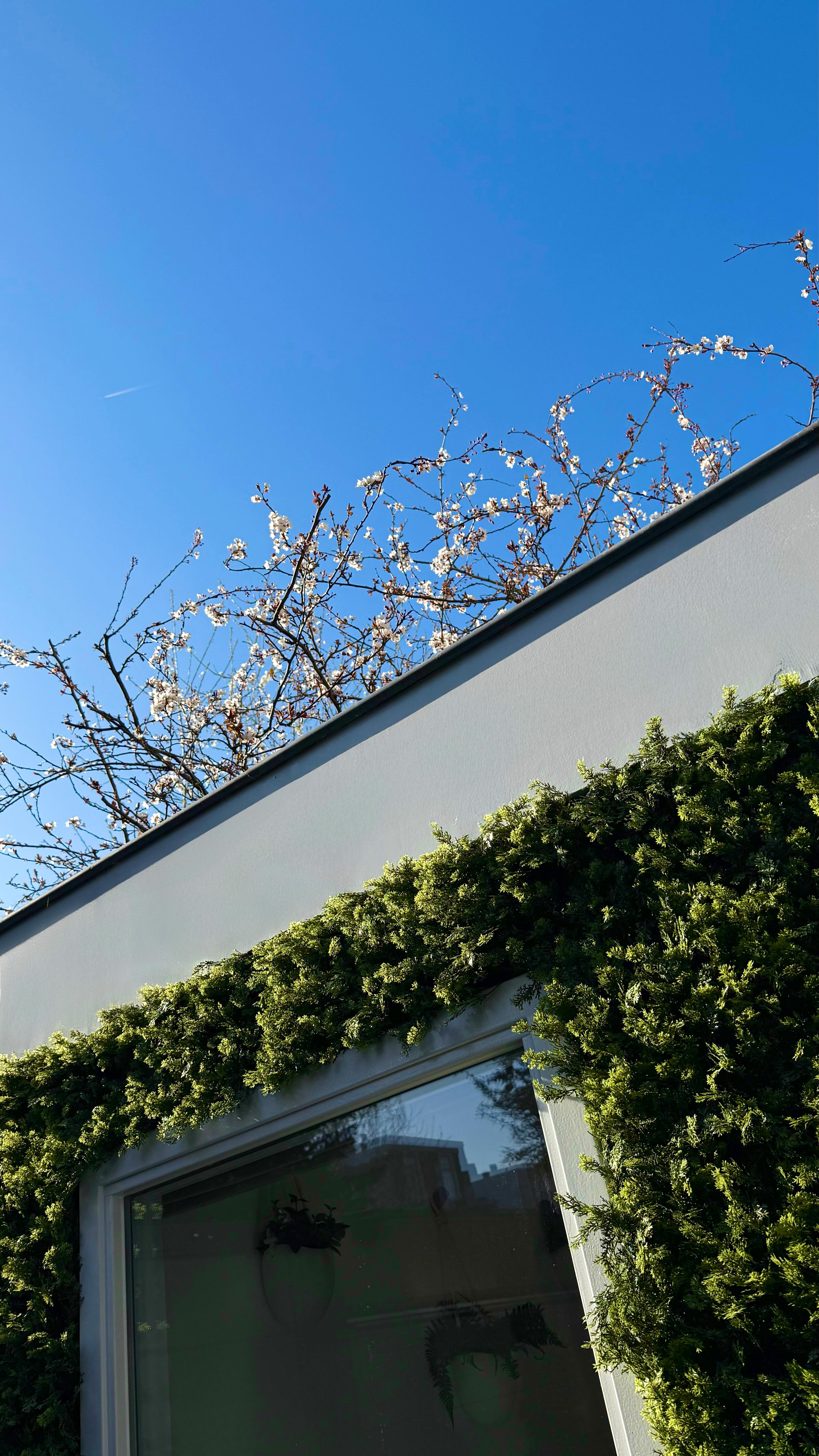 As a spatial designer, I usually prefer real plants in my projects. But sometimes, that’s simply not possible due to lack of natural light, high maintenance, technical limitations, danger for pets or budget limits.
For this garden office façade, I chose a high-quality artificial hedge from @kunsthaagvoordeel.nl not as a shortcut, but as a conscious solution.
Why this choice?
✅ Water-saving: No irrigation, reducing water consumption.
✅ Low-maintenance & long-lasting: No seasonal dieback, trimming, or plant replacements, saving time, energy, and resources.
✅ No fertilizers or pesticides: Prevents chemicals from entering the environment.
✅ Durable, recyclable materials: Produced from high-quality PE, which is fully recyclable. At the end of its lifespan, the material can be responsibly processed and reused.
✅ Safer solution: Hypoallergenic and pet-safe, without the risk of mold, pollen, or toxic plants.
✅ Energy-efficient upkeep: No powered tools or constant transport of soil and plants required.
✅ Always green, always fresh: A vibrant, calming aesthetic year-round, supporting well-being even where live plants can’t thrive.
✅ Noise-Reducing Effect:
The dense structure can help dampen sound, providing a subtle acoustic improvement.
✅ Fire Retardant: Meeting safety standards.
✅ UV-resistant material.
✅Modular: The modular system allows flexibility in design without complex tools.
Though I love natural greenery for its well-being benefits, sometimes design requires a practical balance. A kunsthaag can still bring the soothing, lush feel of nature without compromising sustainability.
Want a green wall without the hassle? This might be your perfect solution. 🌱✨
Curious what you think! Would you consider artificial greenery in your interior or façade design? Let me know below. 👇
#groenewanden #kunsthaag #facadedesign #duurzaamleven #circulairontwerp #natuurindebouw #groenegevel #stedelijkgroen #biophilicdesign #gezondwonen #wooninspiratie #nederlandsdesign #duurzaaminterieur #officedesign #designadvies #ruimtelijkontwerp #duurzaamwonen #architectuur #wellbeingdesign #groenwonen #kvldesign #duurzaamontwerp