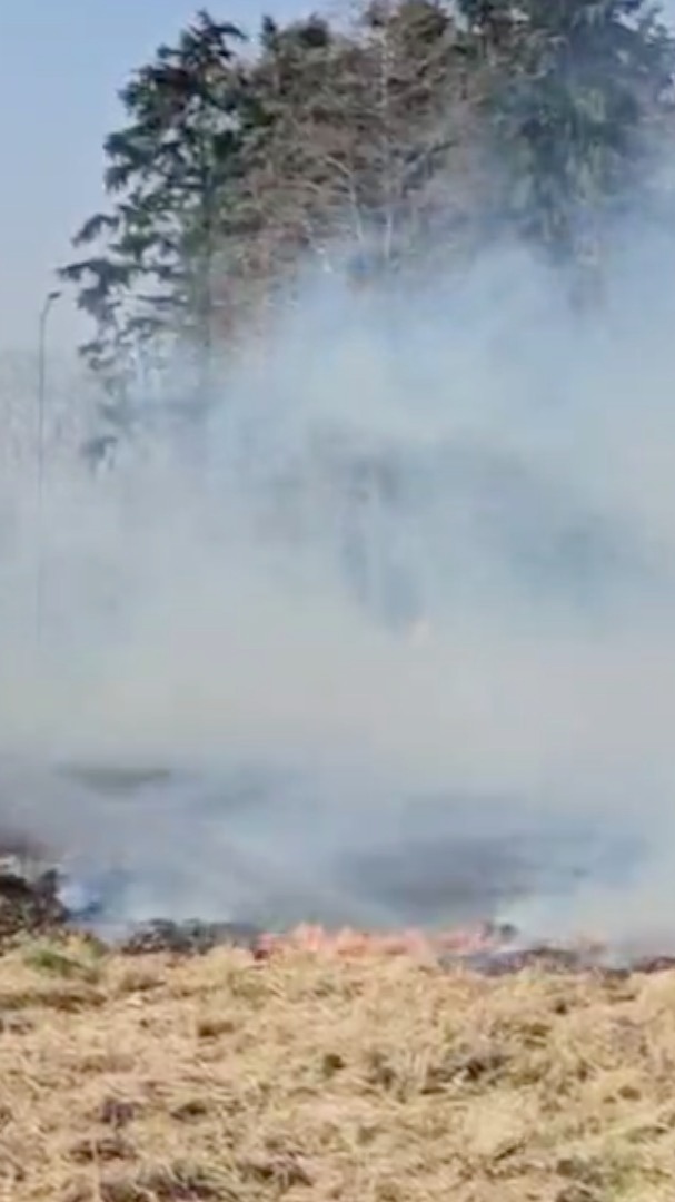 📣Wij zijn #StreApp en tonen content van ooggetuigen. Bekijk de compilatie van afgelopen week. Nieuwsgierig naar het platform wat wij ontwikkelen? Volg ons!
#ooggetuige #P2000 #112fotografie #brandweer #ambulance #politie #reddersopzee #knrm #berging #watiseraandehand #hulpverleners #rijkswaterstaat #handhavers #evenementenfotografie #katwijk #drachten #Nootdorp #hengelo #amsterdam #hoogezand #dekwakel