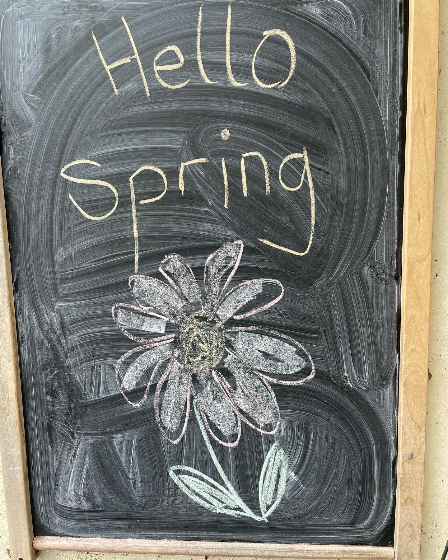 A lovely nature spring walk this morning… we wore our hi vis vest to been seen & crossed the road safely. Along our route we collected leaves, usual shaped pebbles, sticks and feathers… we also crossed a bridge over a stream, with some pretty daffodils 🌼