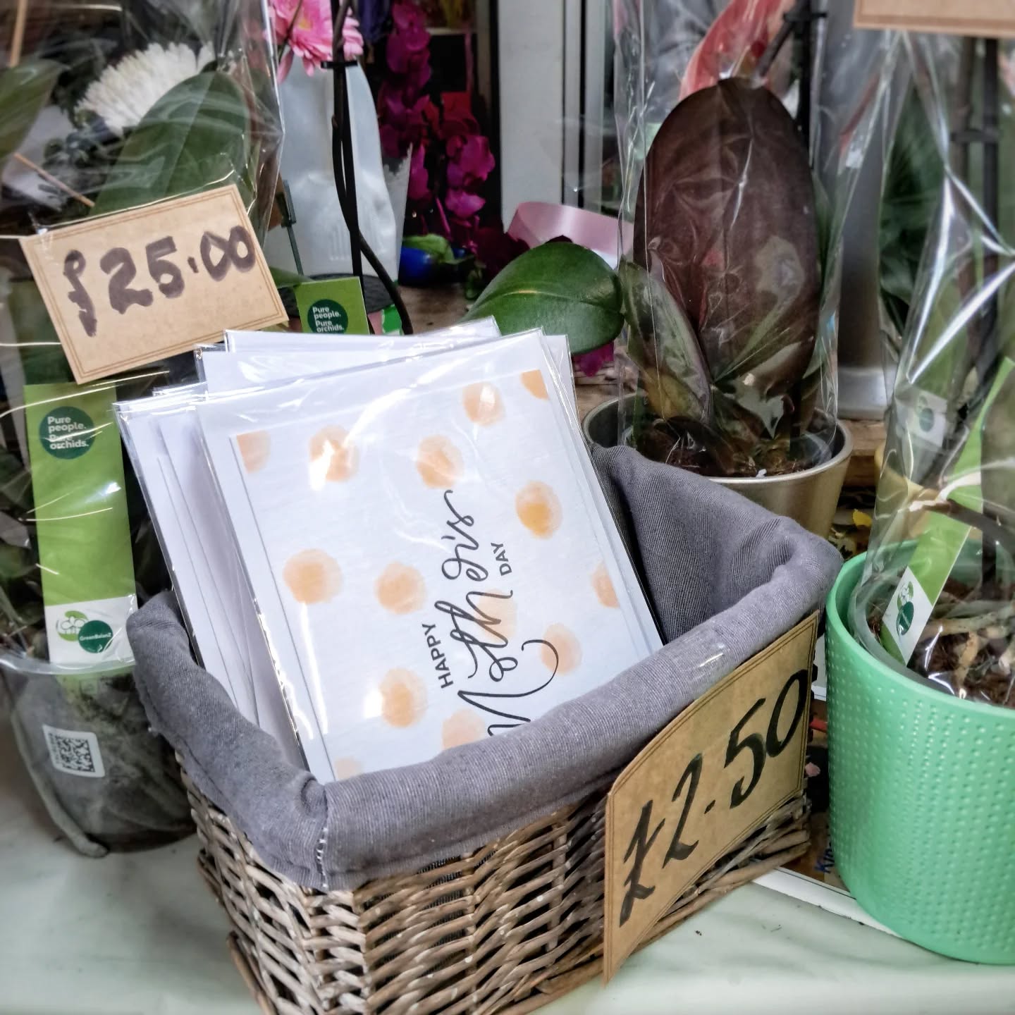 Now in Stock at @wendysflowersr
Don't forget Mothers Day is fast approaching and they always have an amazing selection of flowers.