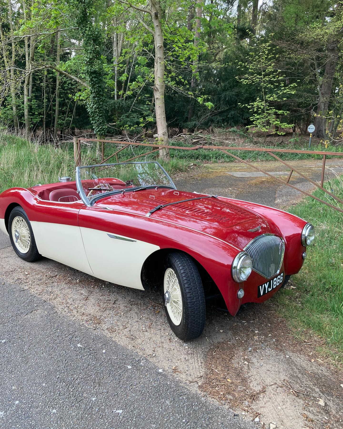 Thank you @steve_cato_restoration for giving the Austin Healey a service after its winter hibernation. Ready for some sunshine now…. #classiccars #austinhealey100