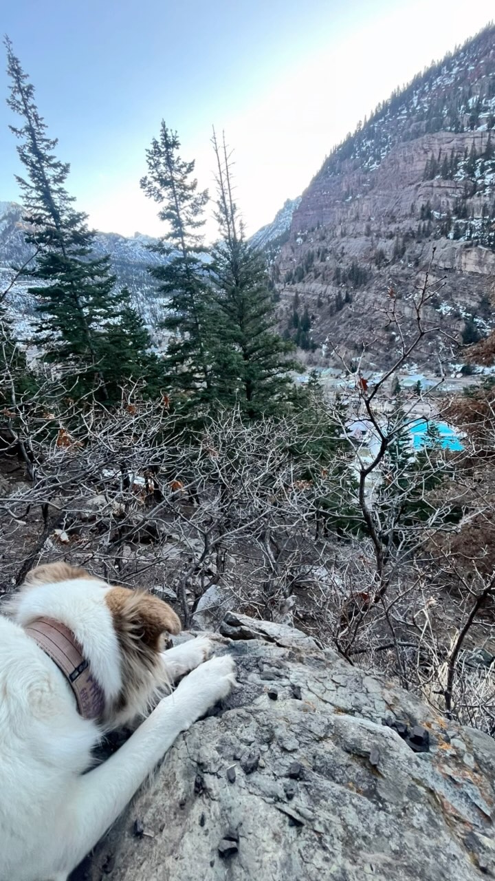 Wrapping up another season in this magical place. So much love for these mountains and the amazing community that it encompasses. Hug your homies.