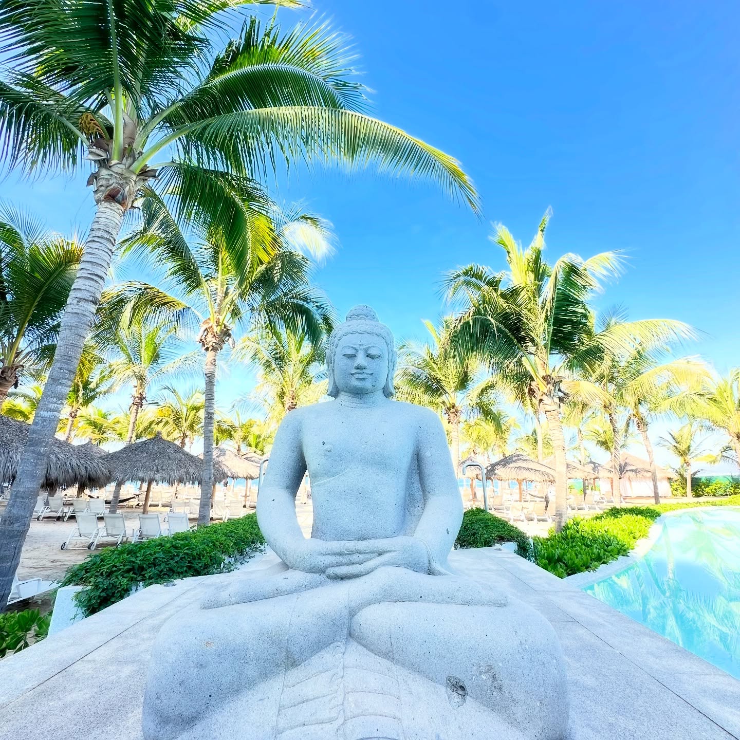 “What you think, you become; what you feel, you attract; what you imagine, you create. Don’t rush anything, when the time is right it will happen” - Buddha