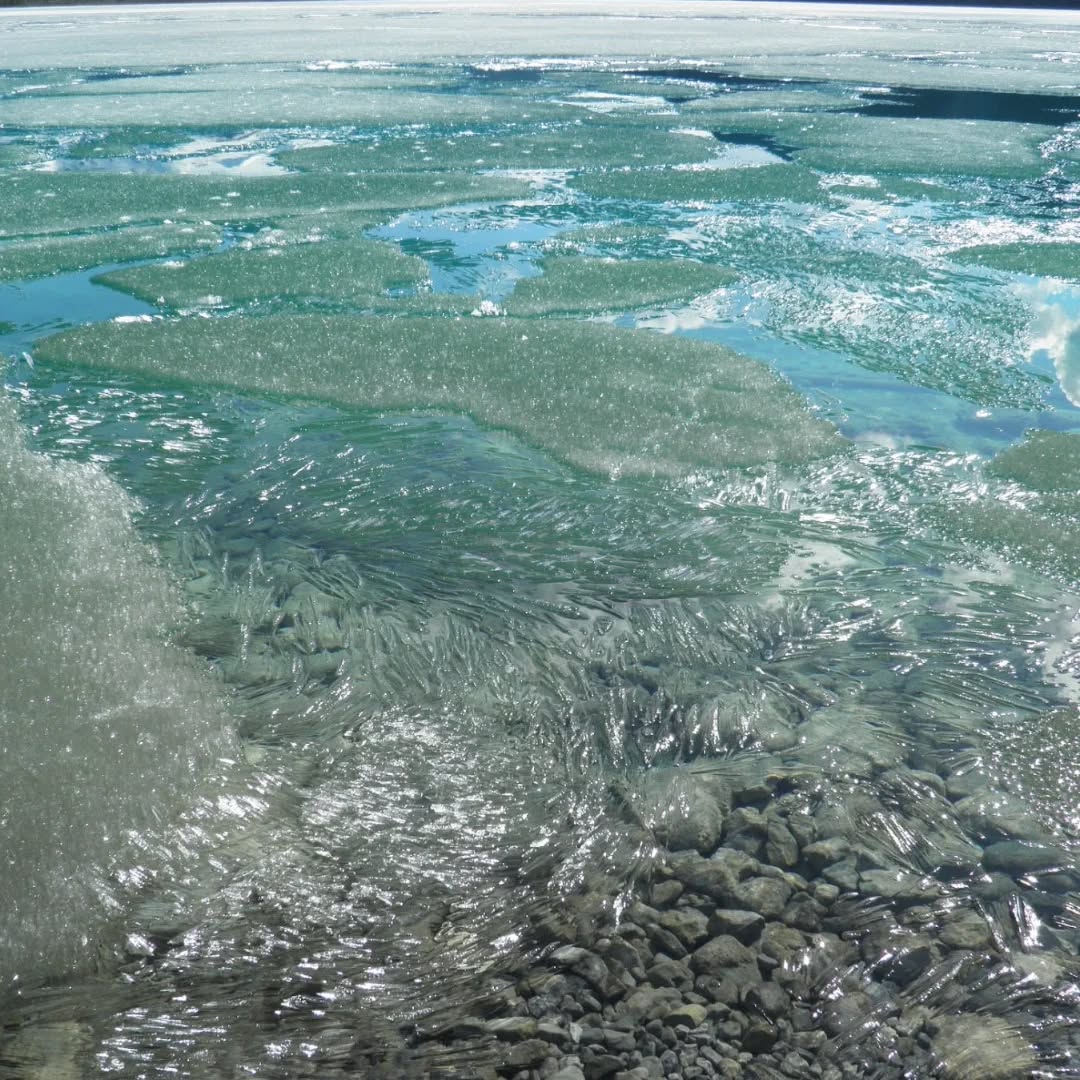 "We think of our bodies as being all that we are: I am my body. This thinking helps us disrespect water, air, land, one another. But water is not external from our body, our self."
- The First Water Is the Body by Natalie Diaz