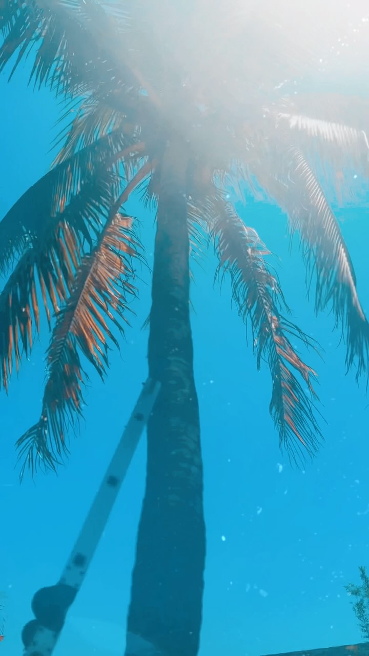 The banners are up around town! #paiff #pafilmfestival #puertoaventuras #filmfestival #rivieramaya #playadelcarmen #tulum #internationalfilmfestival @puertoaventurasoficial