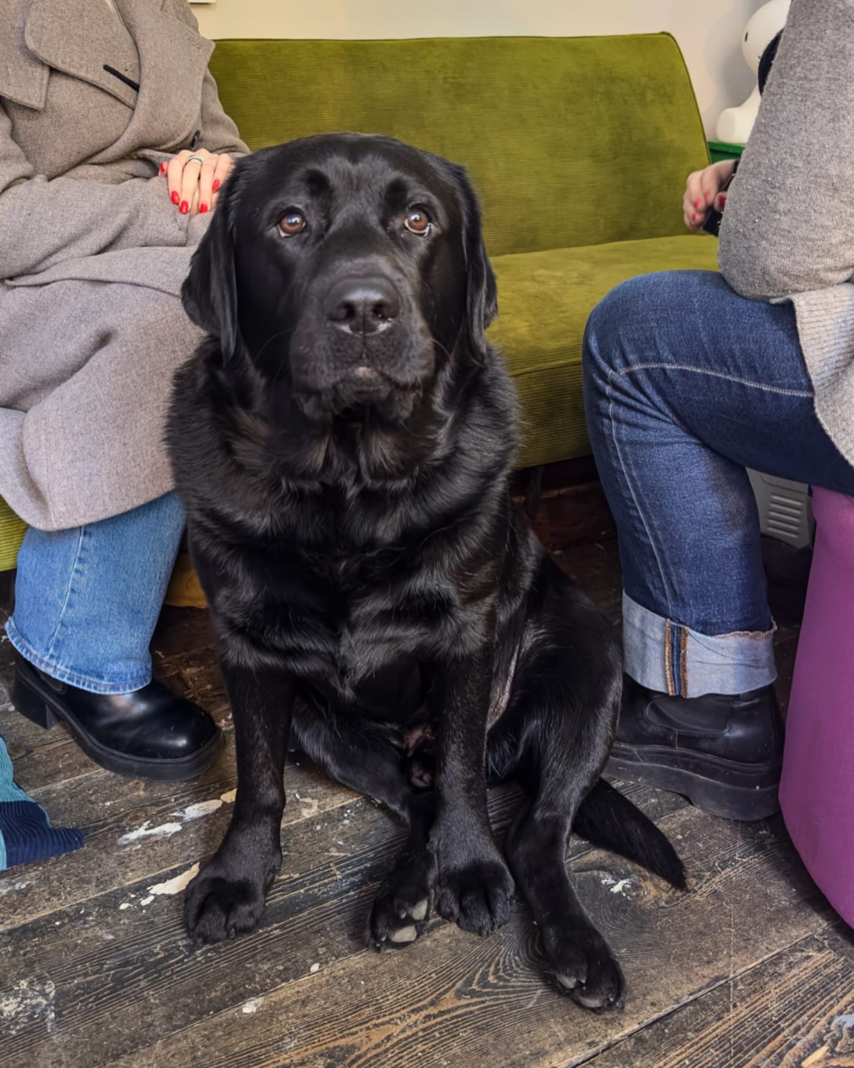 Our TarMac, happy to welcome anyone through the door, loves a biscuit and a cheeky lick. You can find out about Mac and our community by reading the brilliant blog Just David written by Circle Member @y_a_t_e_s
Head to the link in our bio 🐾